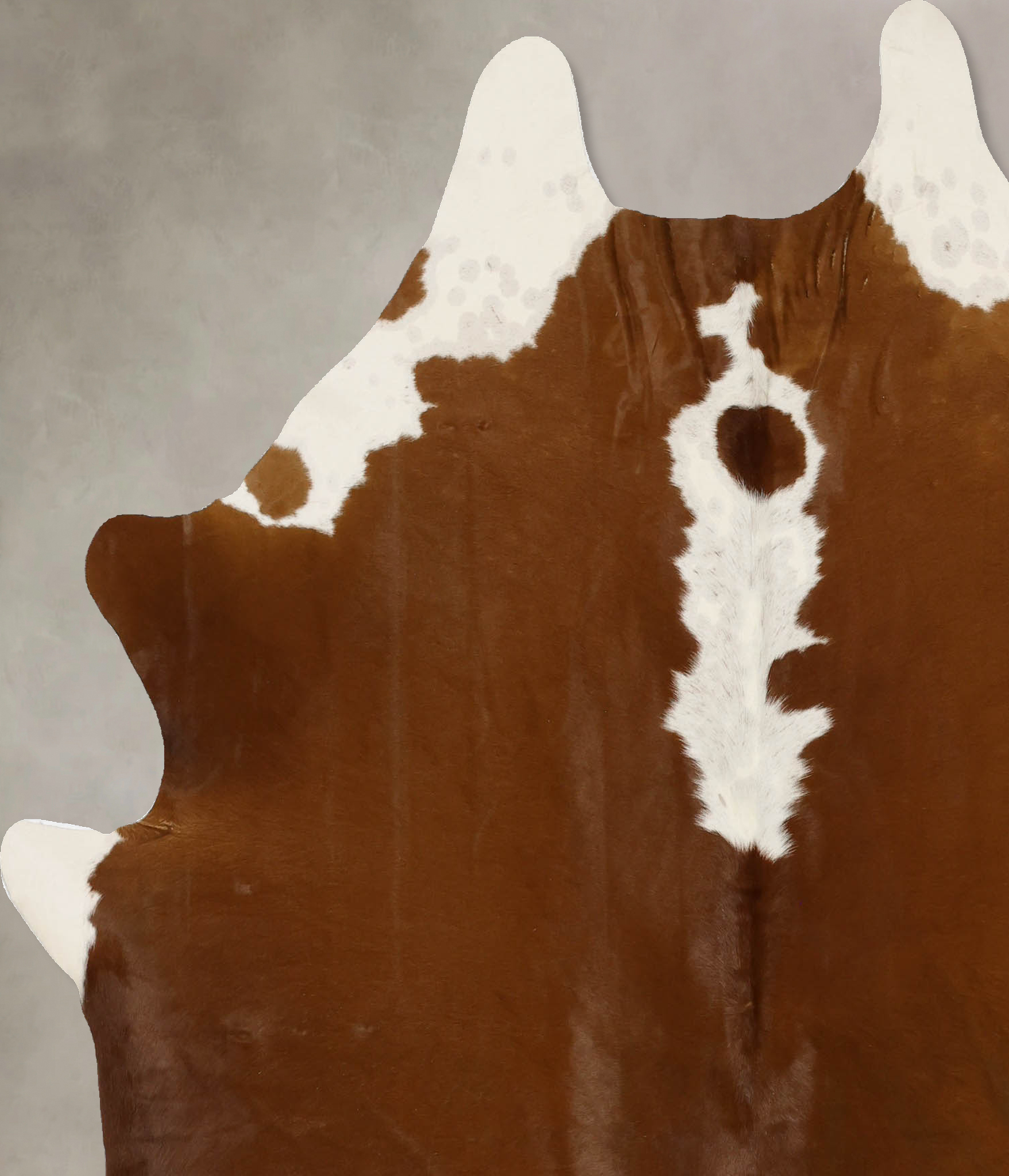 Brown and White Regular Cowhide Rug #B11686