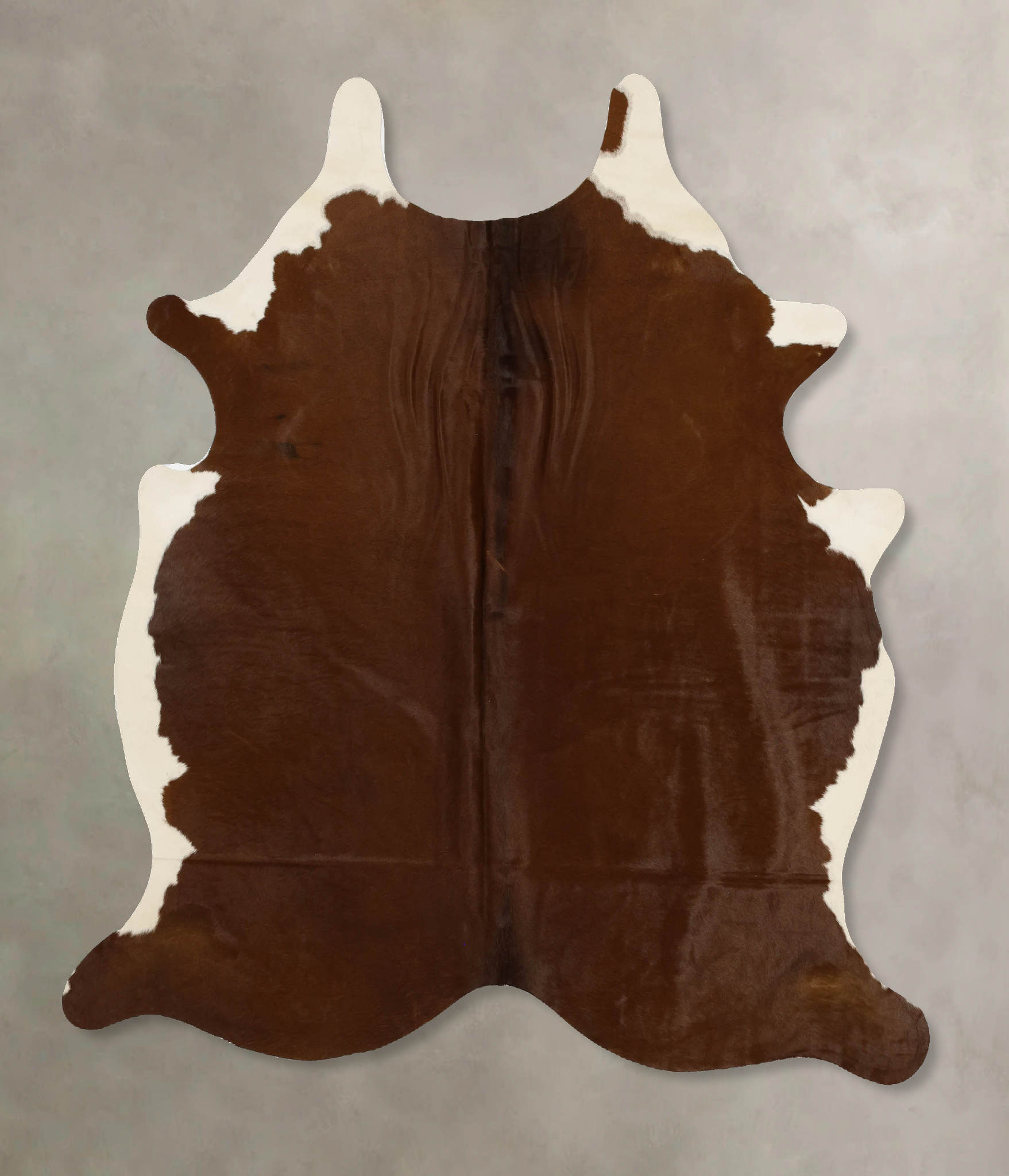 Brown and White Regular Cowhide Rug #B11687