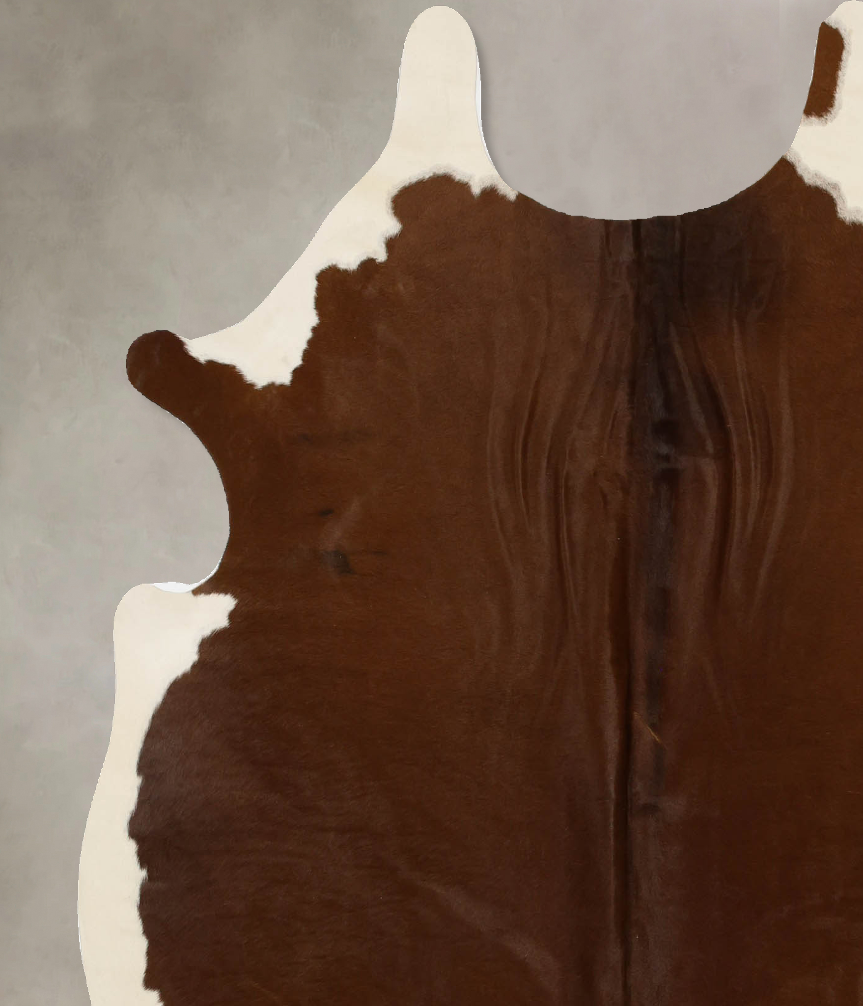 Brown and White Regular Cowhide Rug #B11687