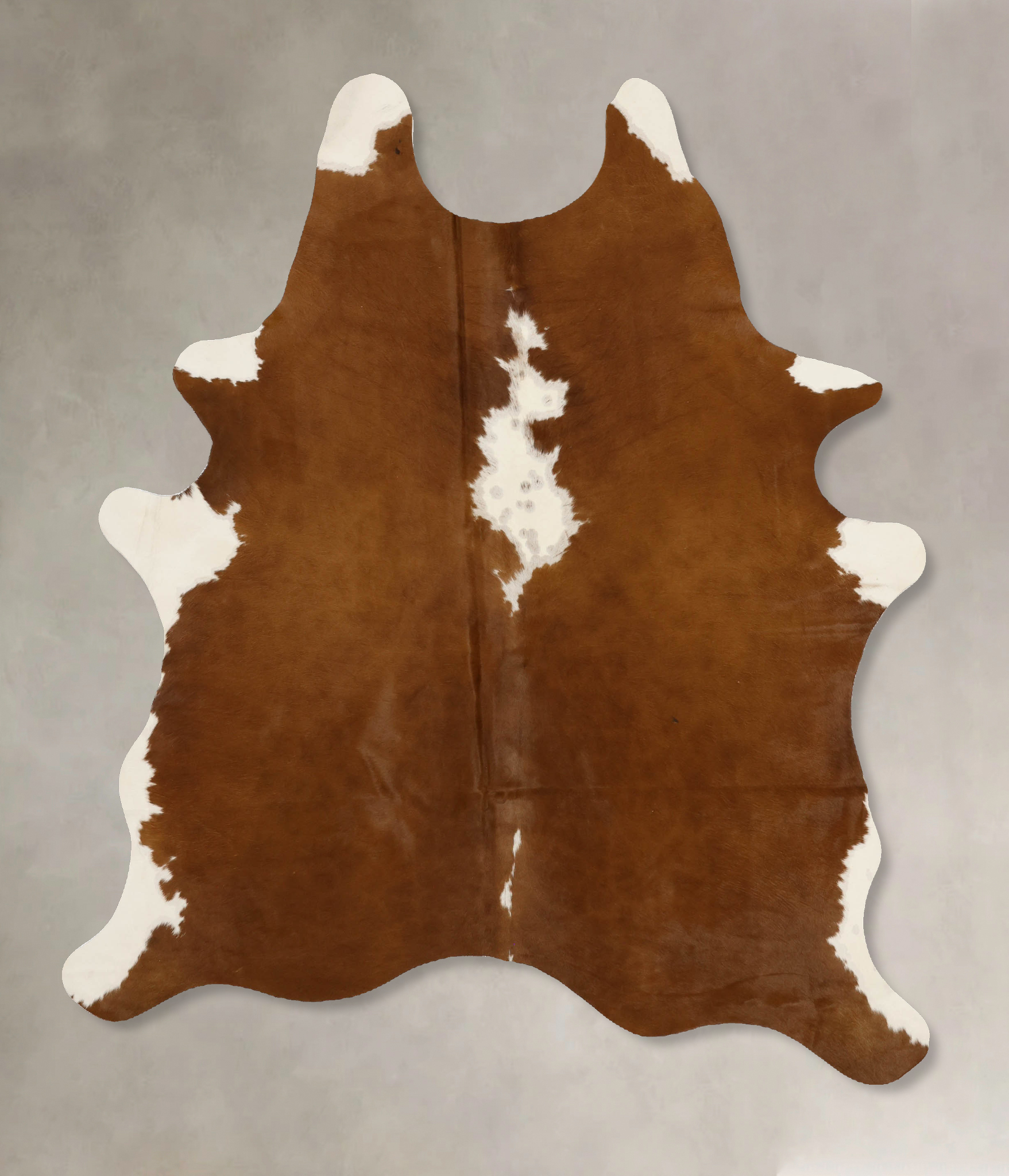 Brown and White Regular Cowhide Rug #B11689