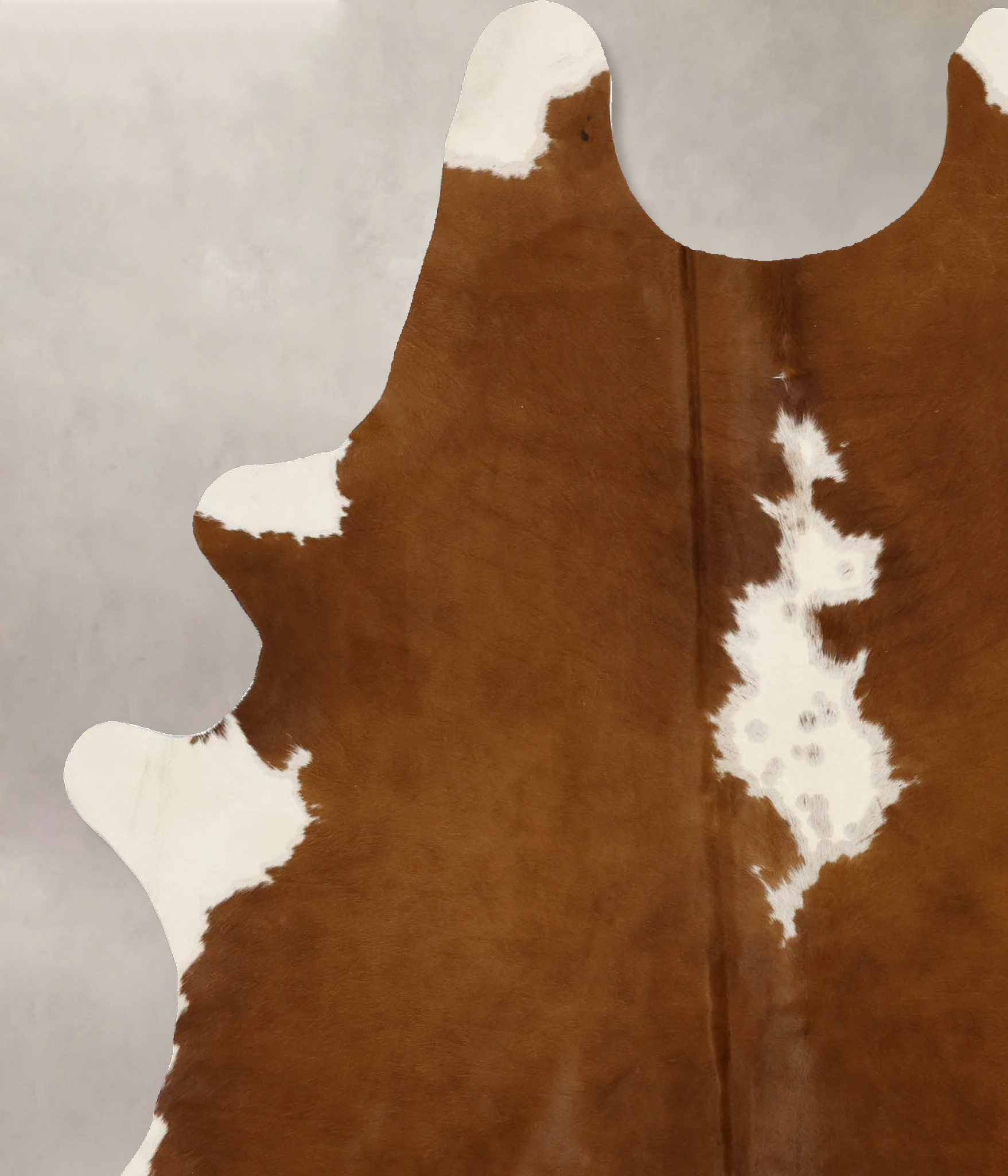 Brown and White Regular Cowhide Rug #B11689