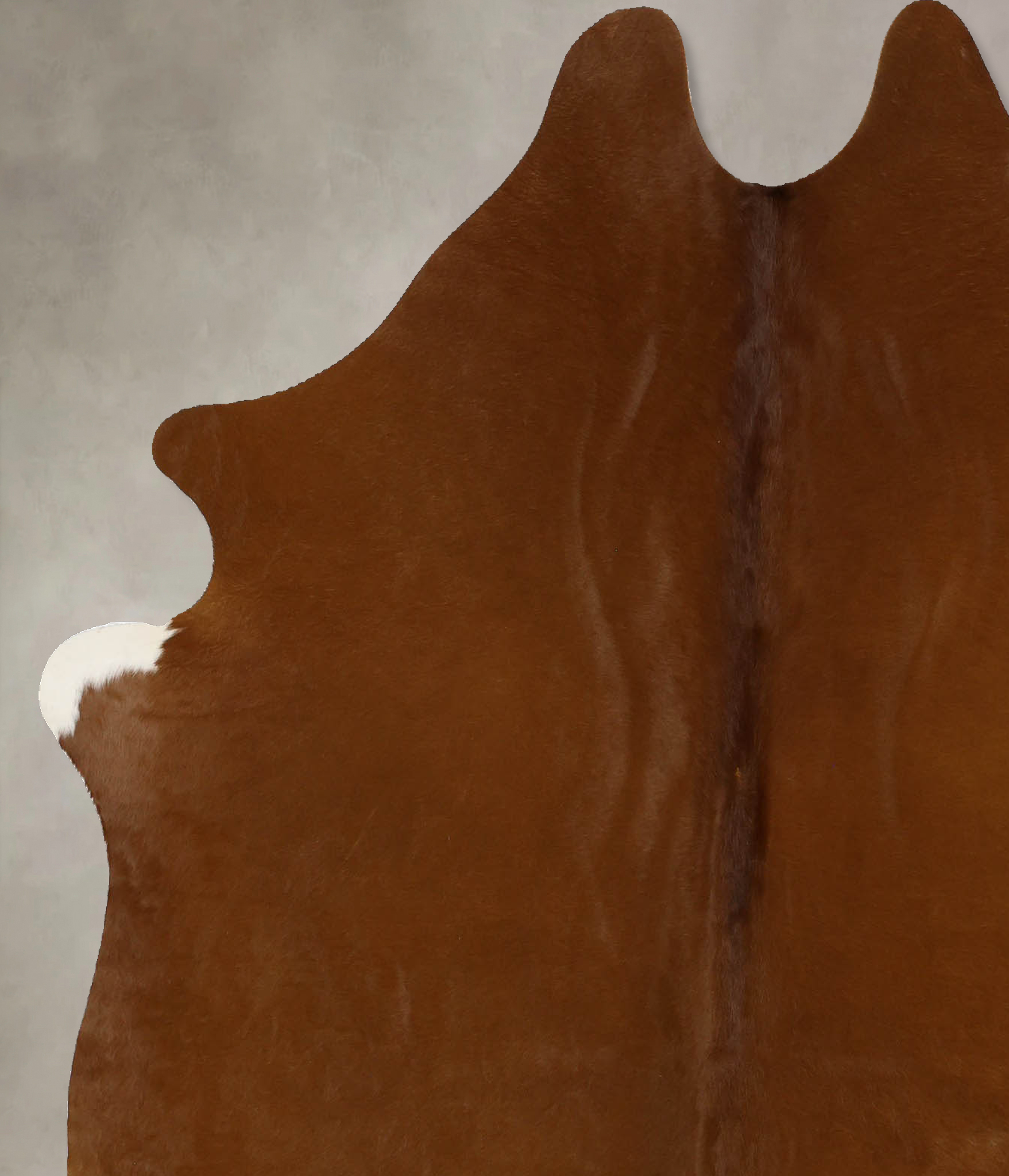 Solid Brown Cowhide Rug #B11695