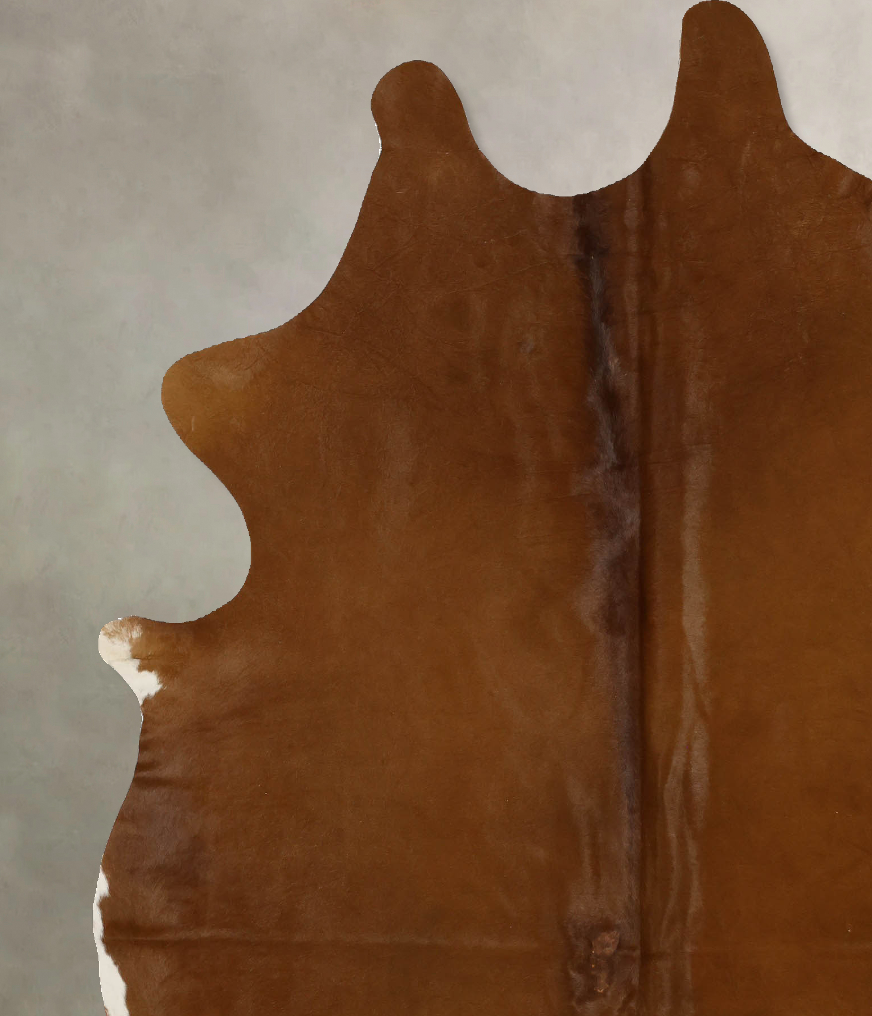 Solid Brown Cowhide Rug #B11698