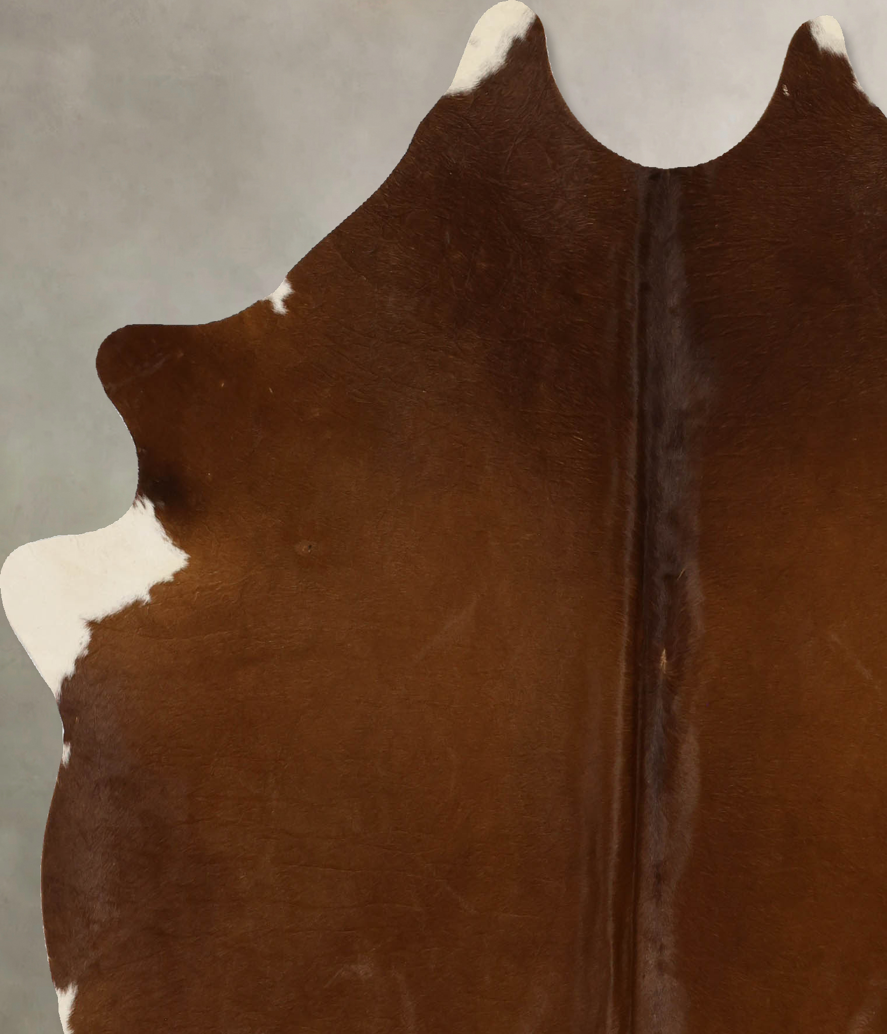 Solid Brown Cowhide Rug #B11699