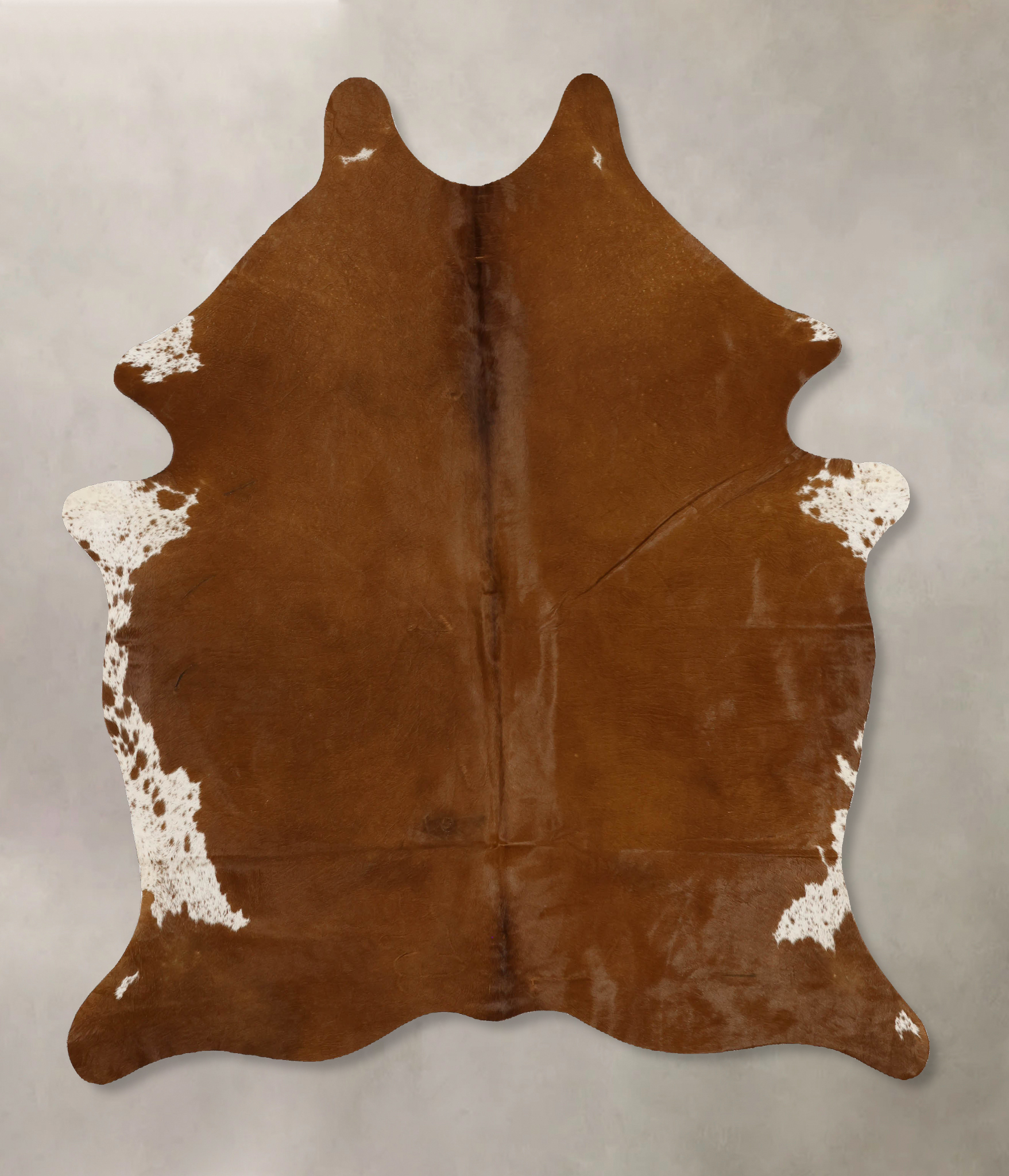 Brown and White Regular Cowhide Rug #B11700