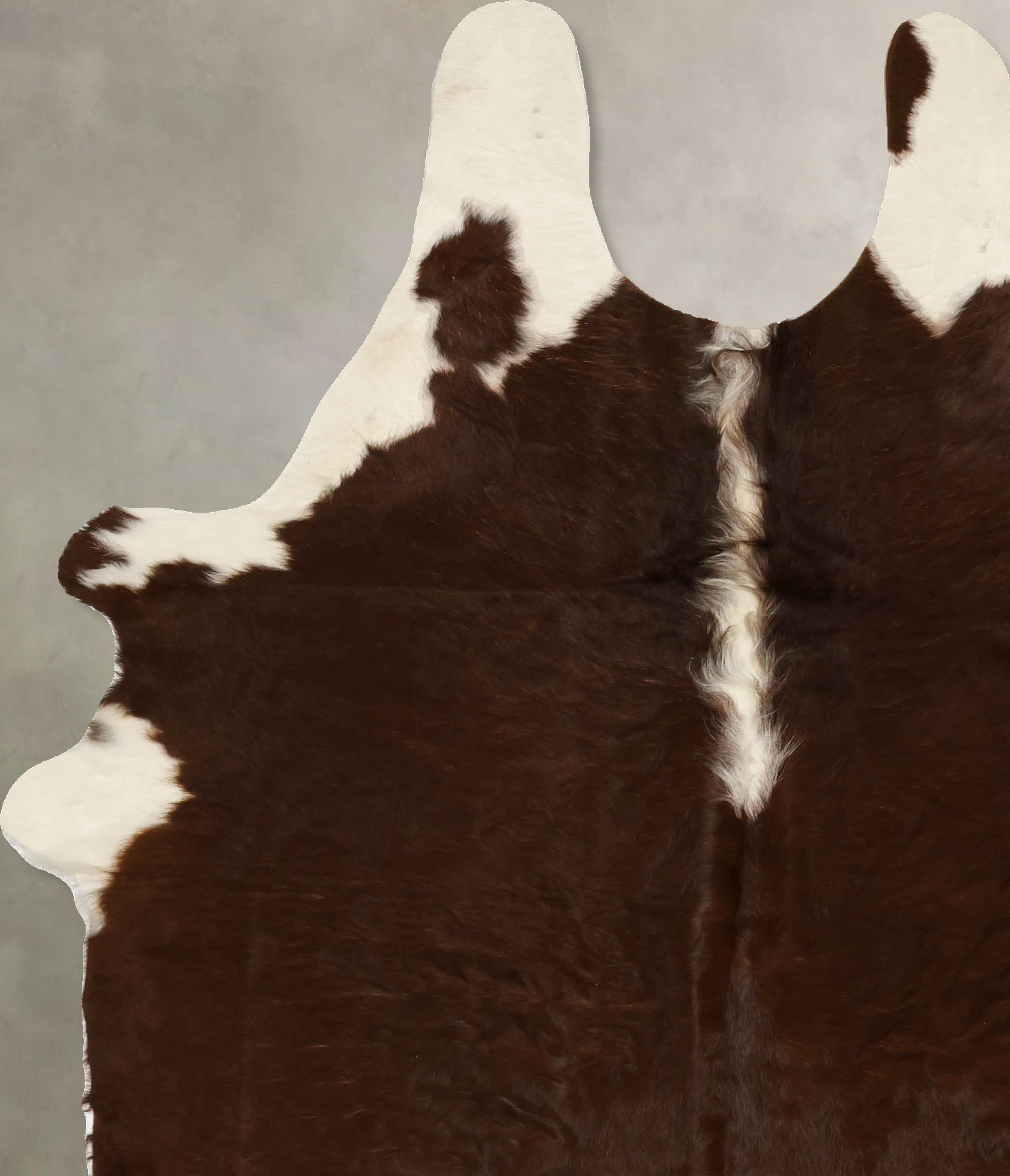 Brown and White Regular Cowhide Rug #B11703