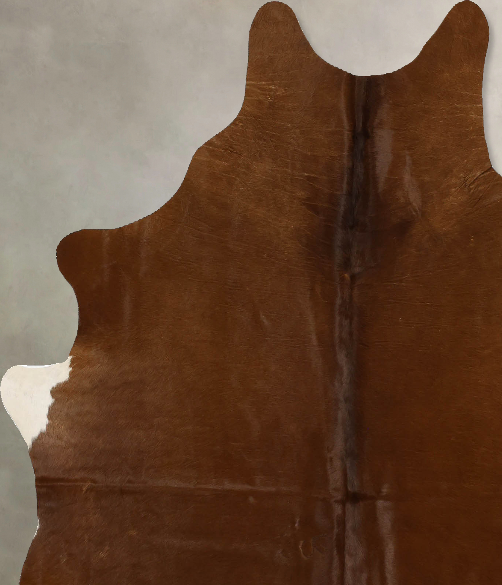 Solid Brown Cowhide Rug #B11704