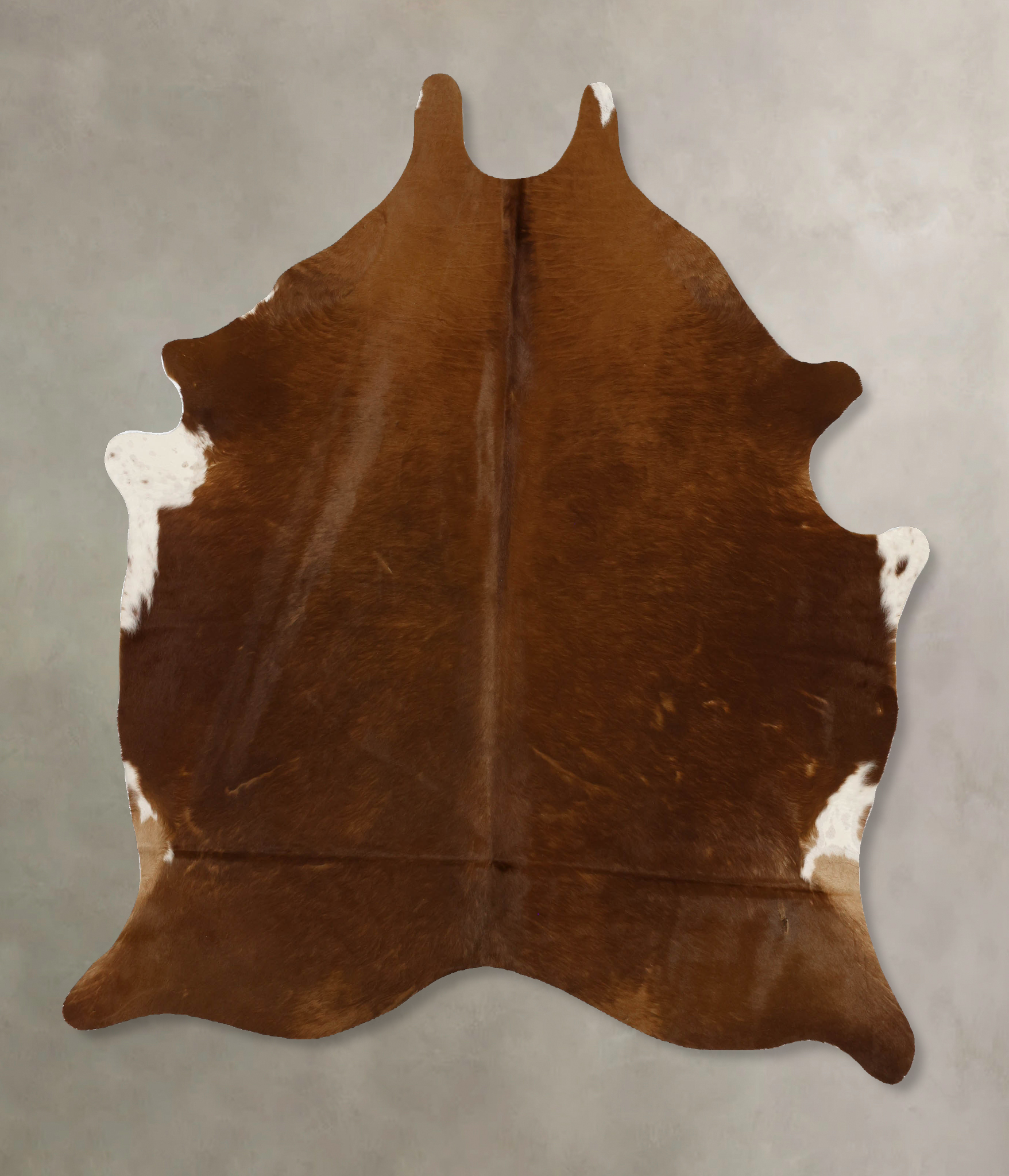 Solid Brown Cowhide Rug #B11709