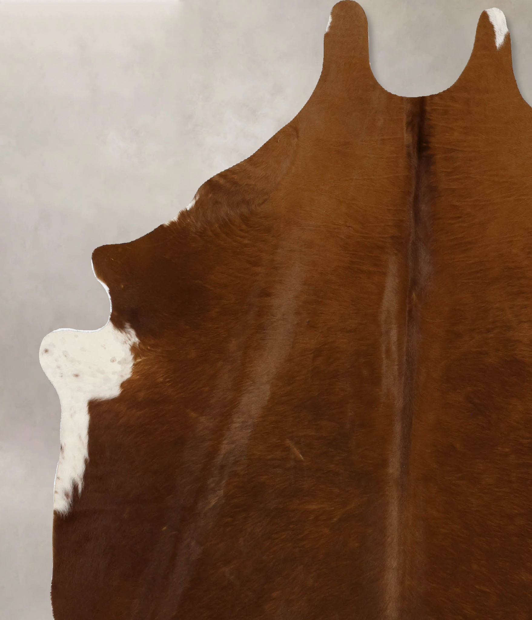 Solid Brown Cowhide Rug #B11709