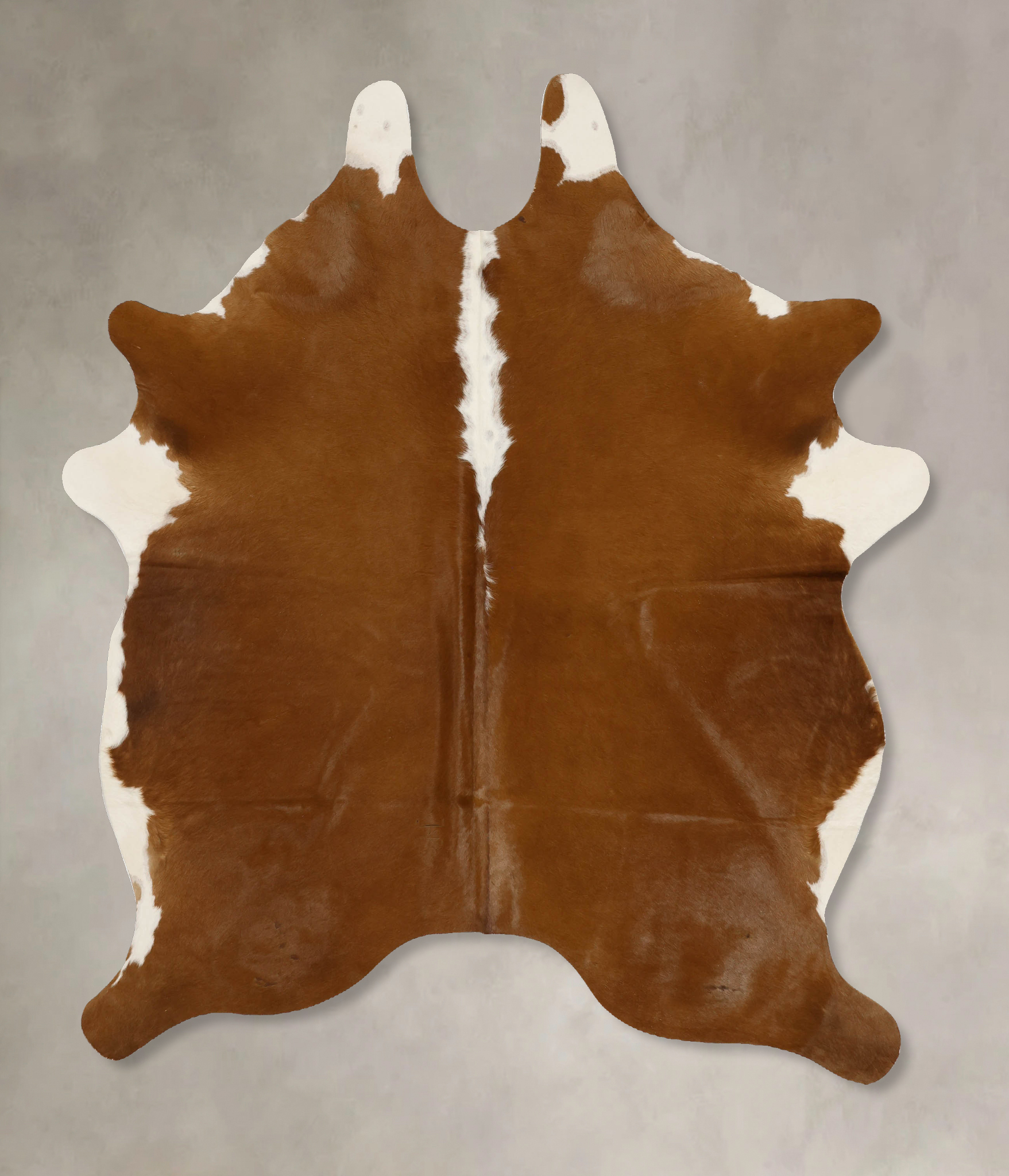 Brown and White Regular Cowhide Rug #B11710