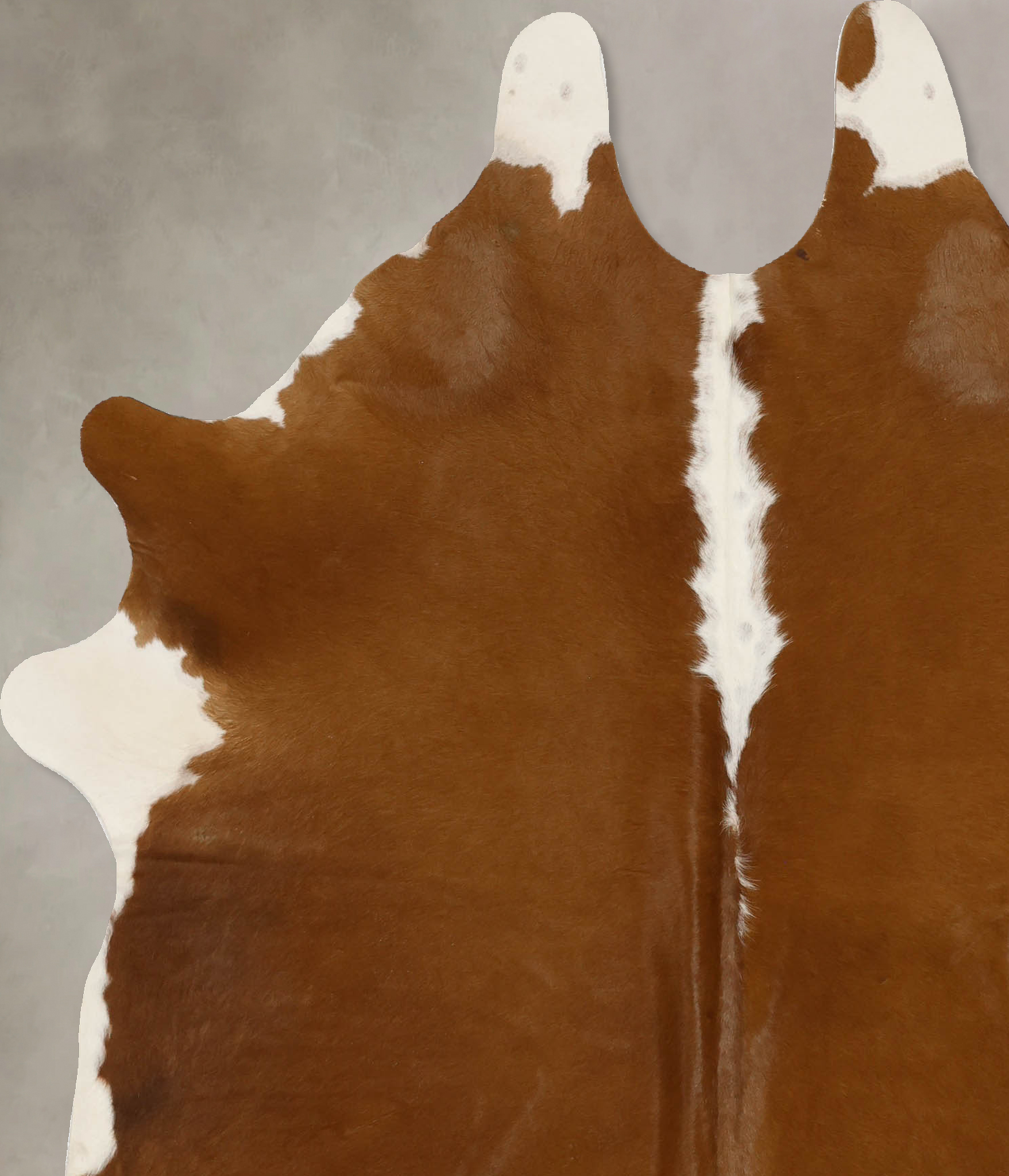 Brown and White Regular Cowhide Rug #B11710