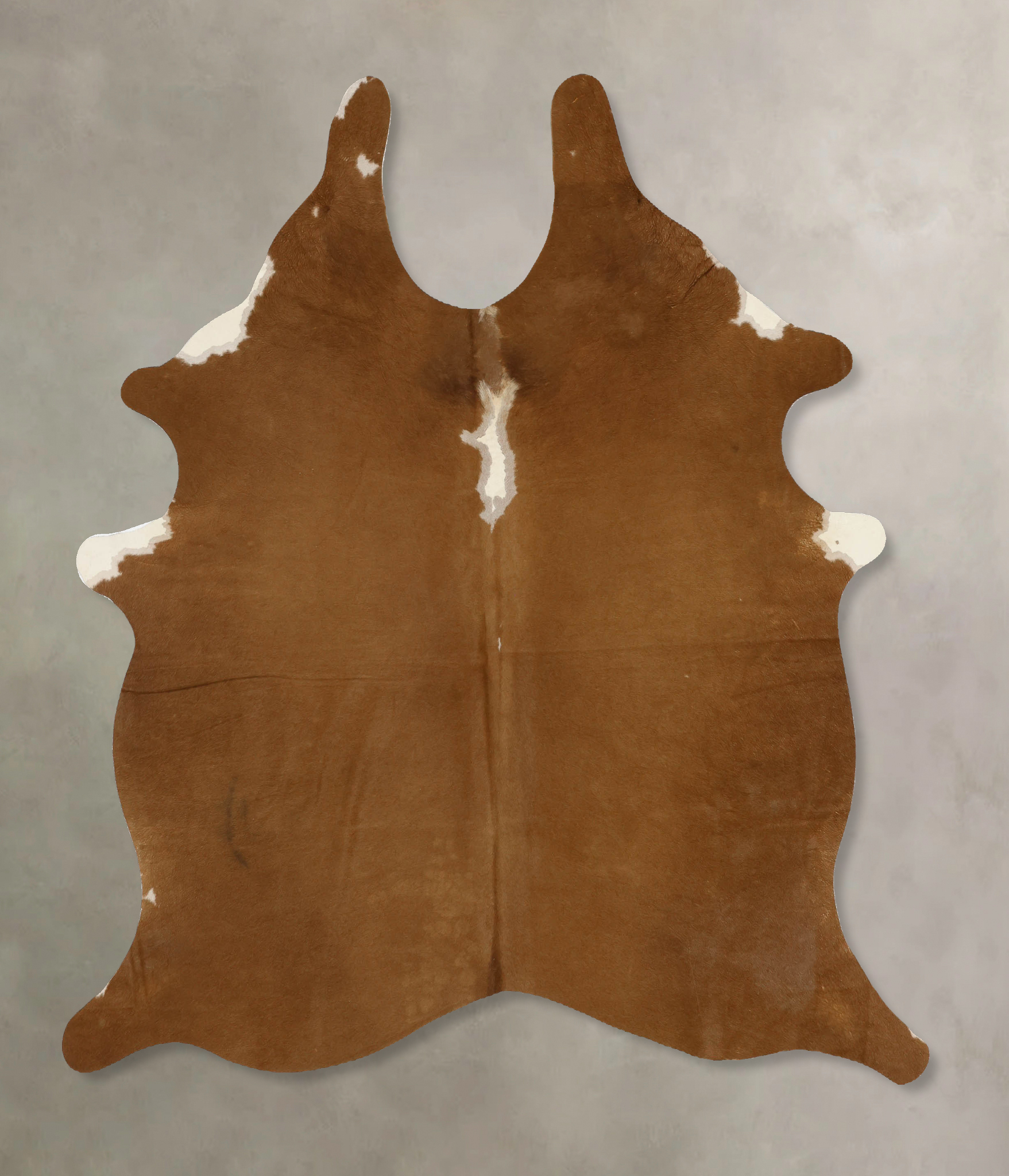 Brown and White Regular Cowhide Rug #B11711