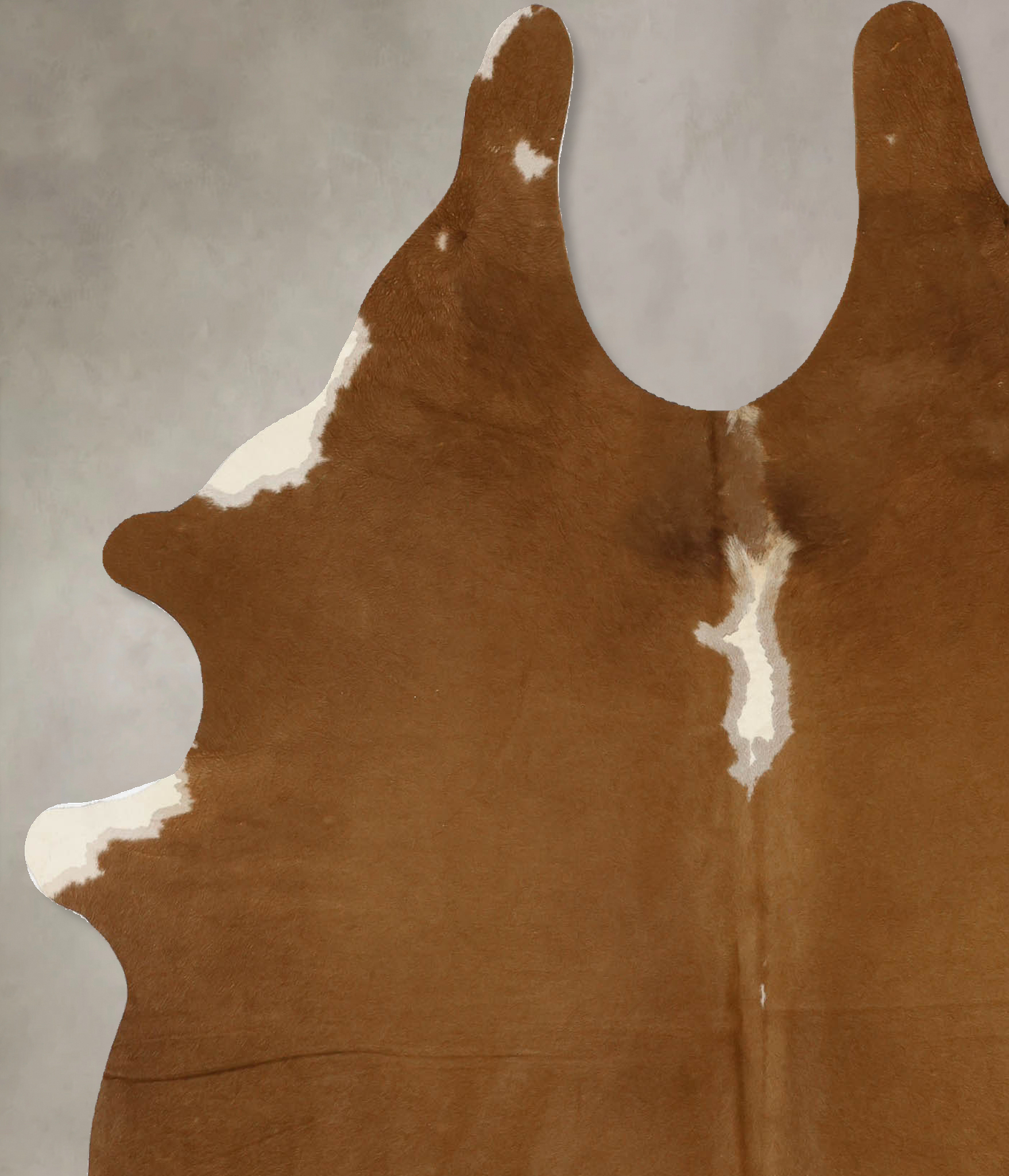 Brown and White Regular Cowhide Rug #B11711