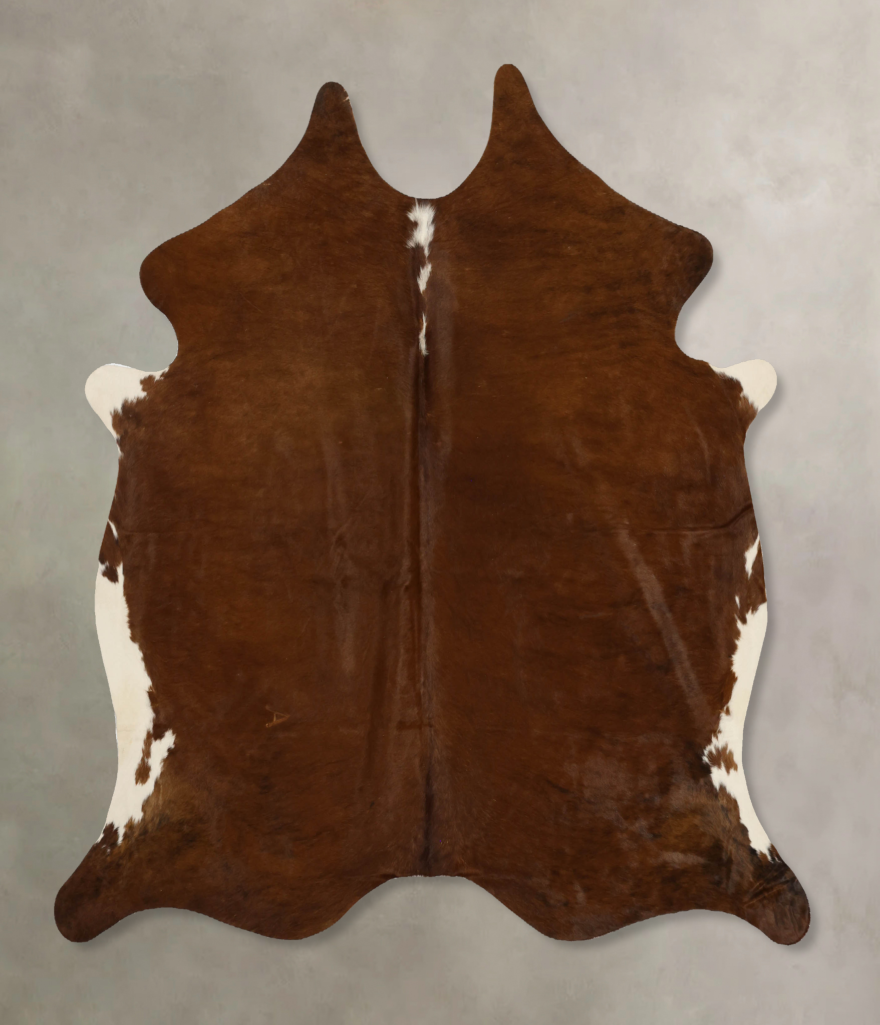 Brown and White Regular Cowhide Rug #B11726