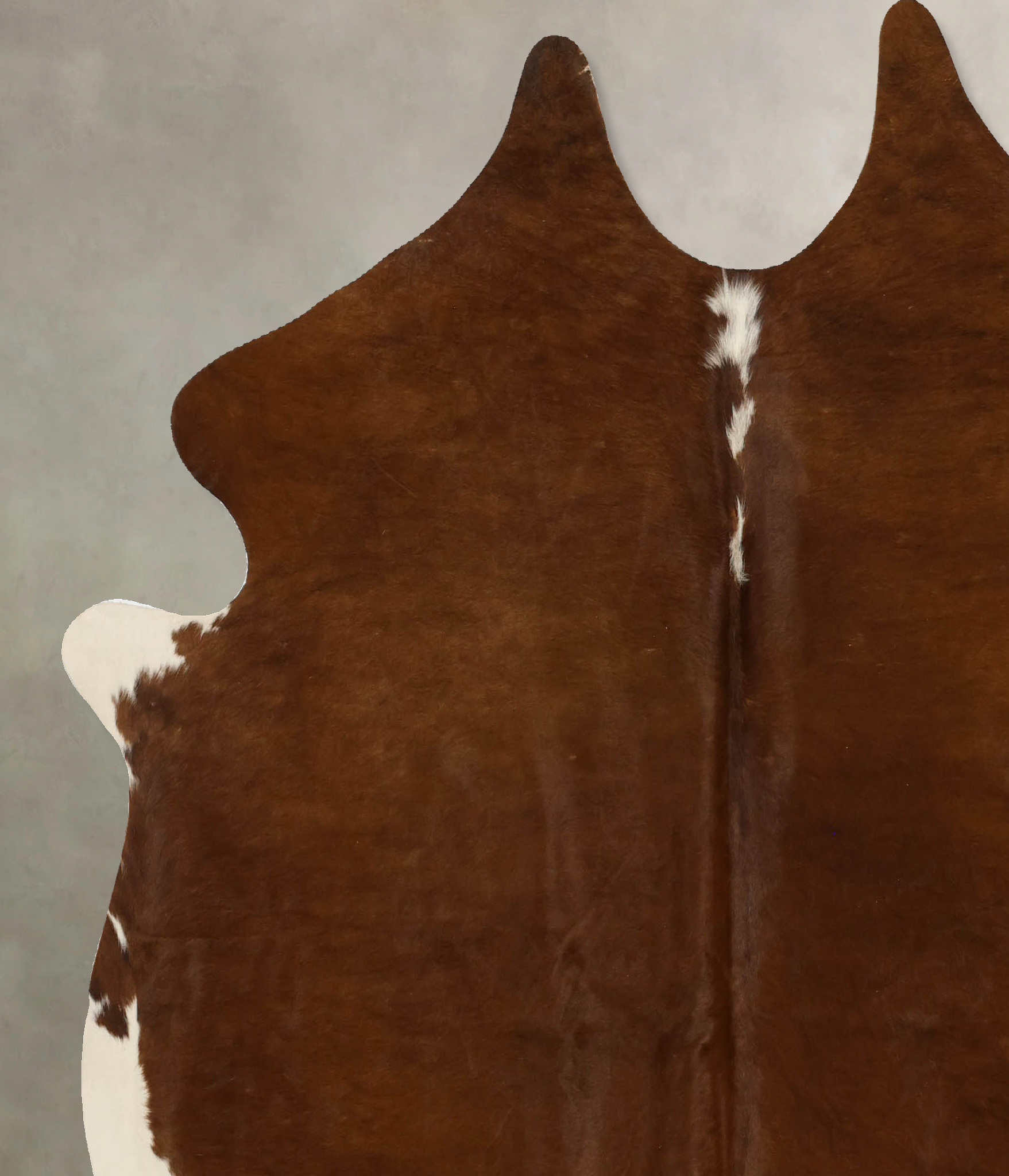 Brown and White Regular Cowhide Rug #B11726