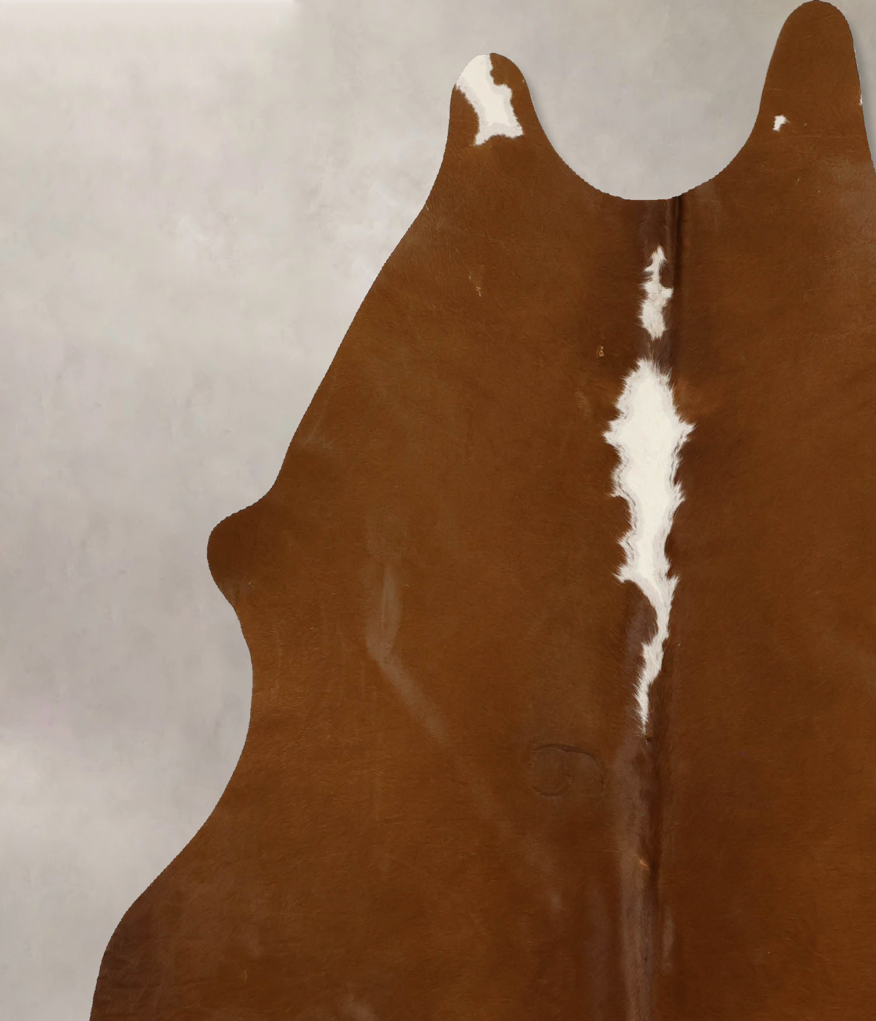 Brown and White Regular Cowhide Rug #B11727