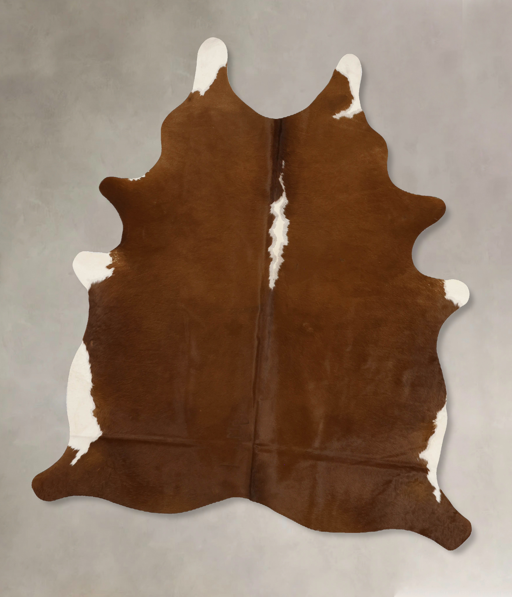 Brown and White Regular Cowhide Rug #B11729