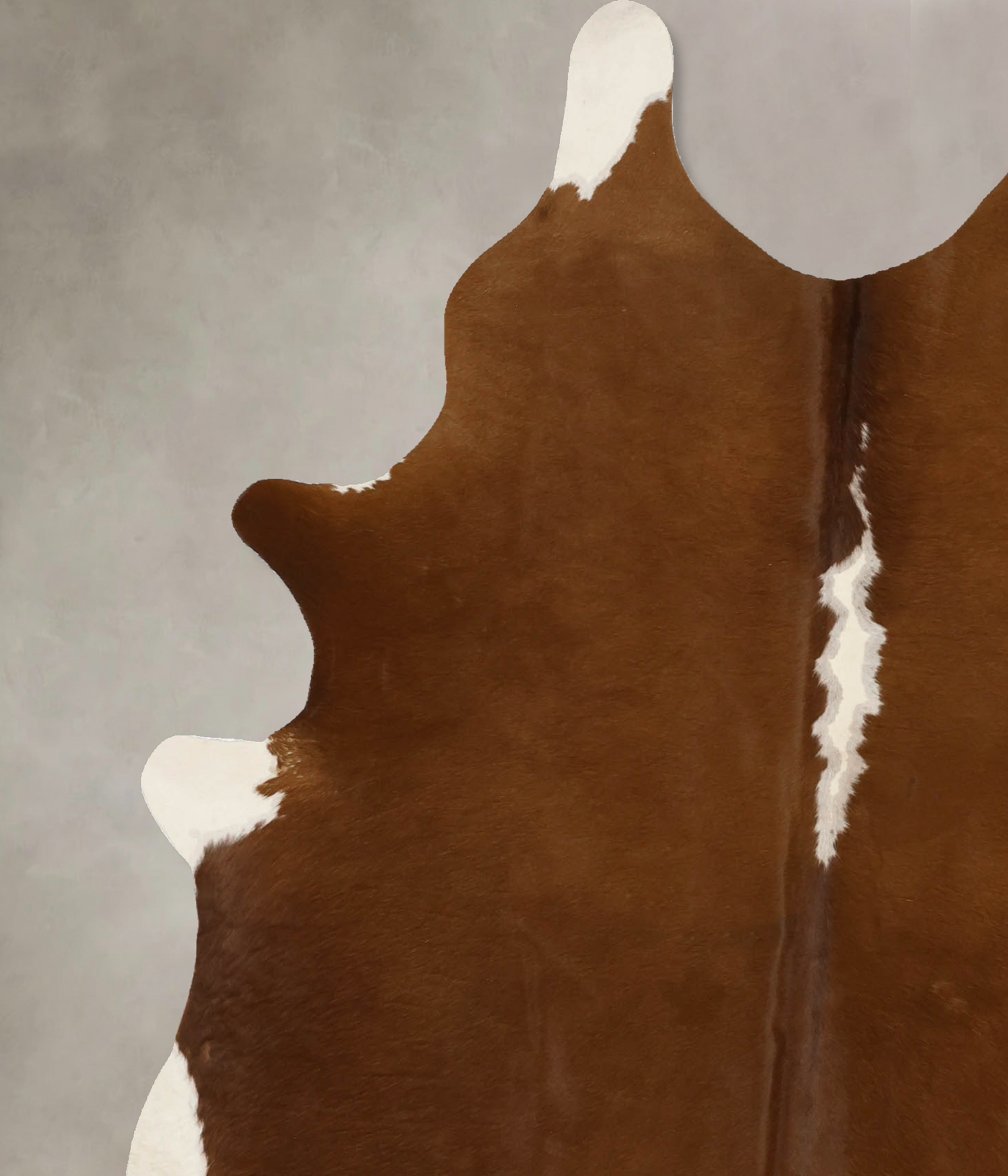 Brown and White Regular Cowhide Rug #B11729