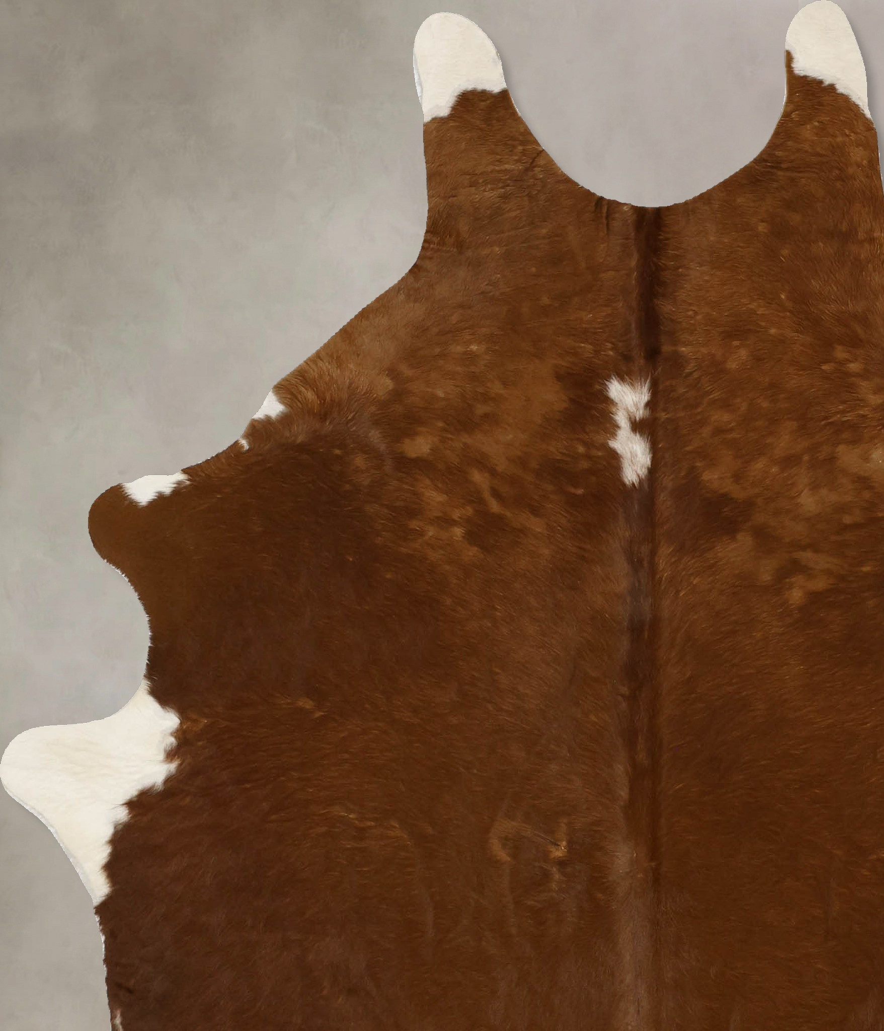 Brown and White Regular Cowhide Rug #B11730