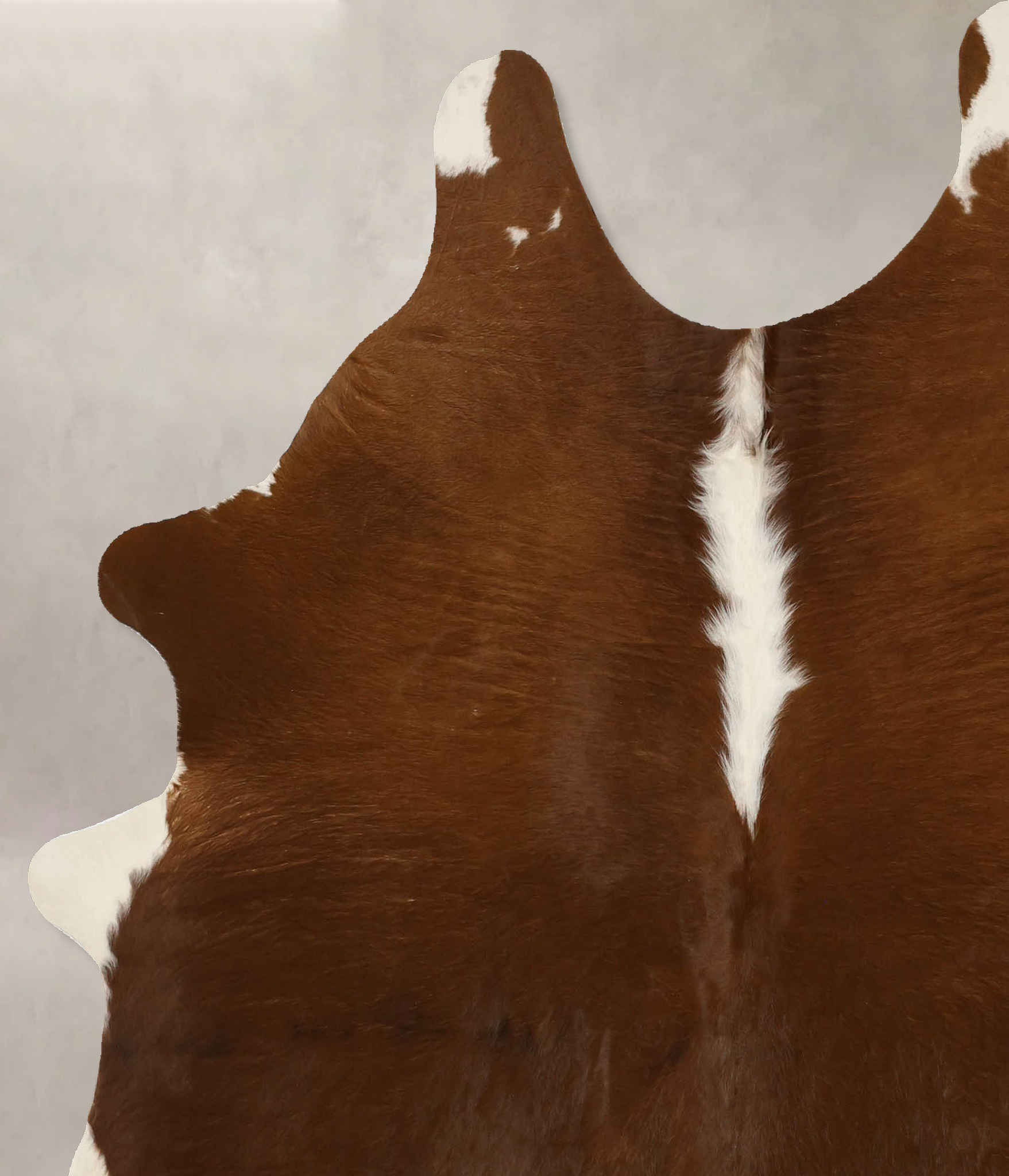 Brown and White Regular Cowhide Rug #B11731