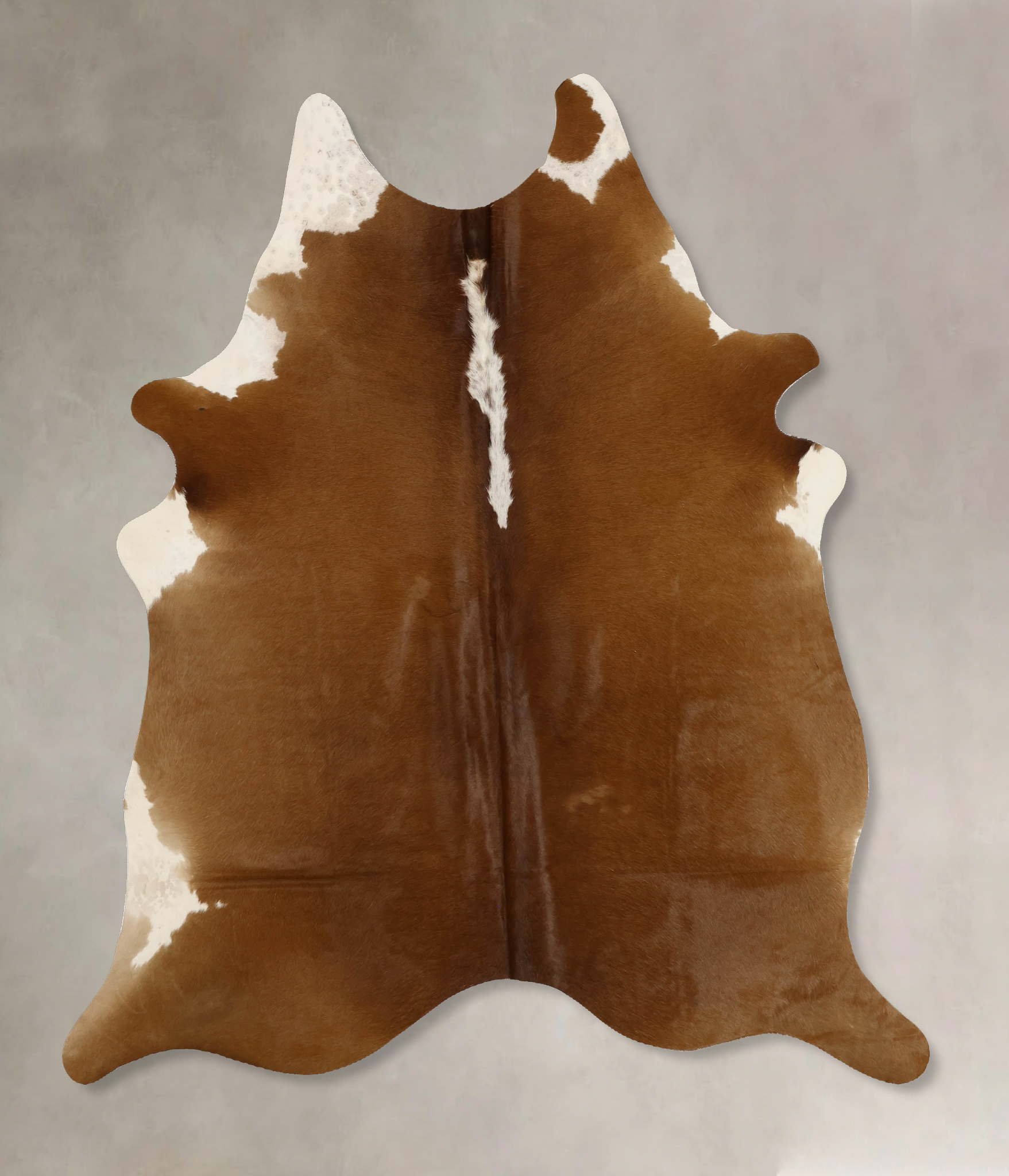 Brown and White Regular Cowhide Rug #B11732