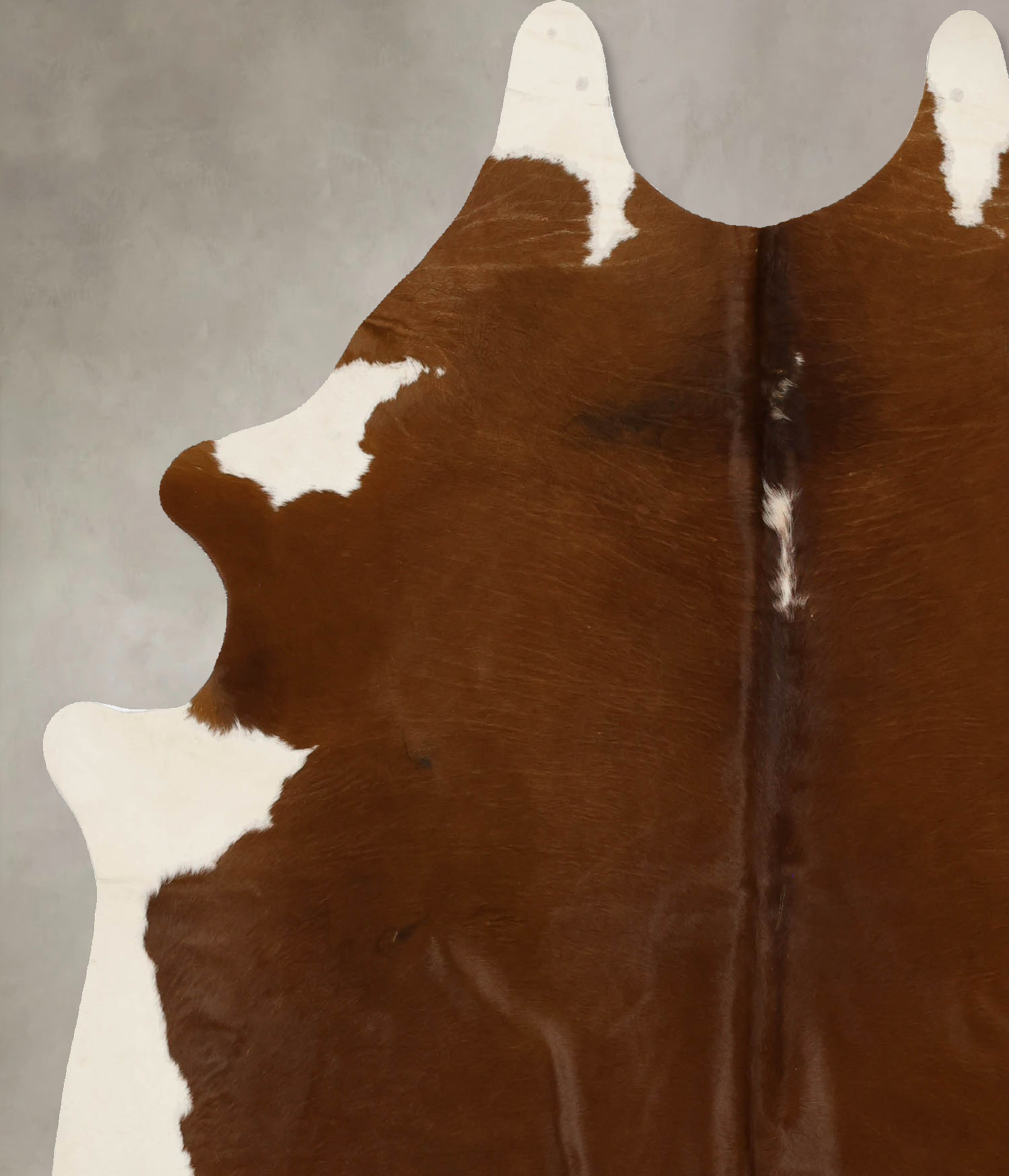 Brown and White Regular Cowhide Rug #B11734