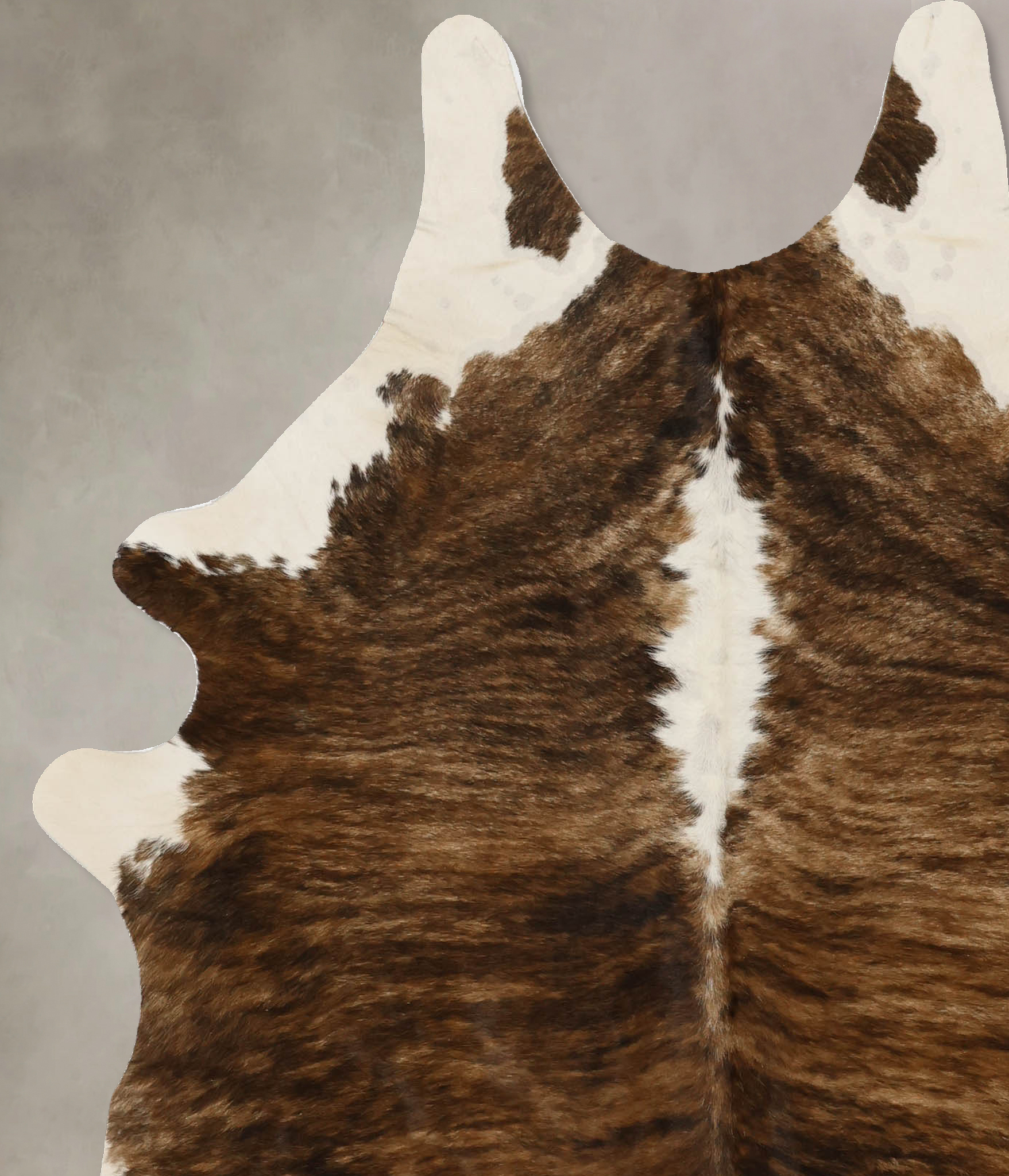 Tricolor Cowhide Rug #B11746