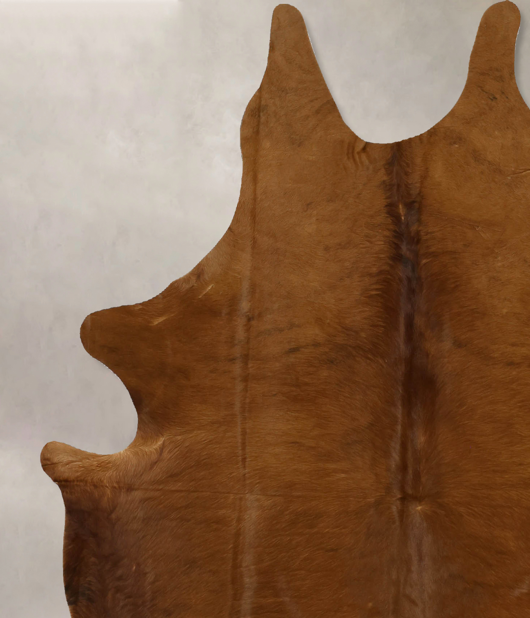 Solid Brown Cowhide Rug #B11766