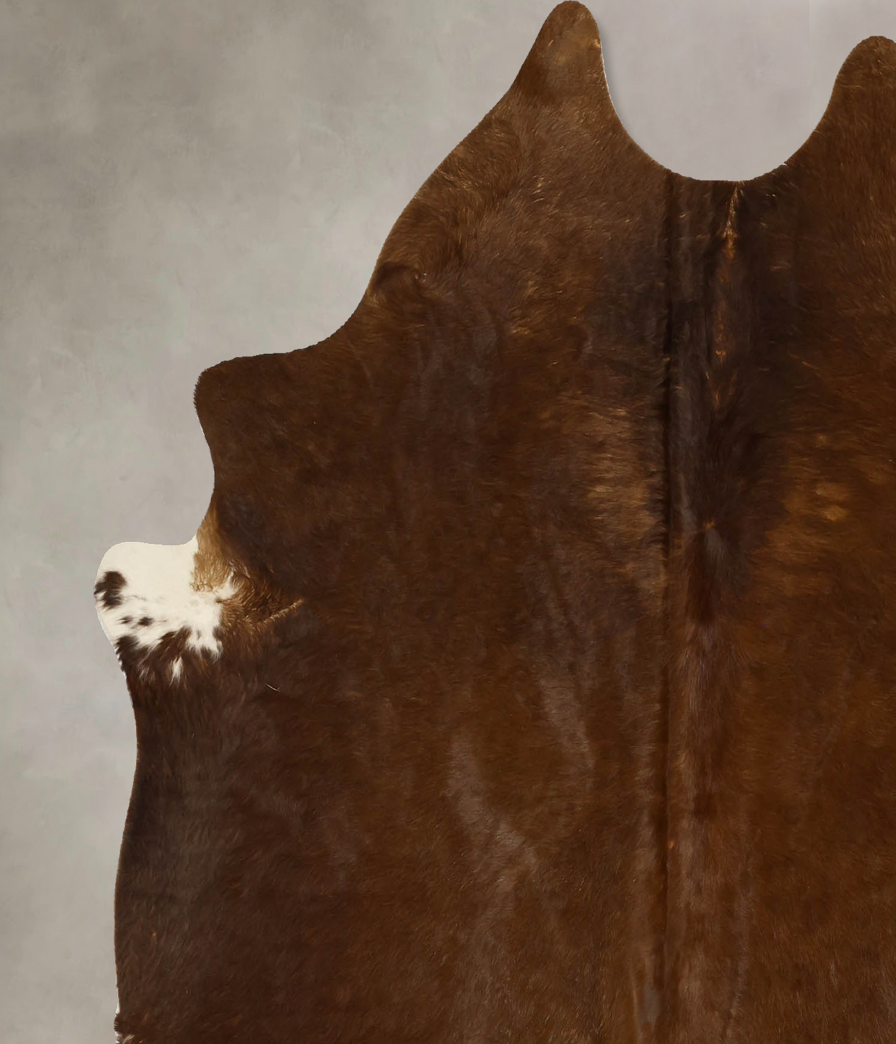 Solid Brown Cowhide Rug #B11778