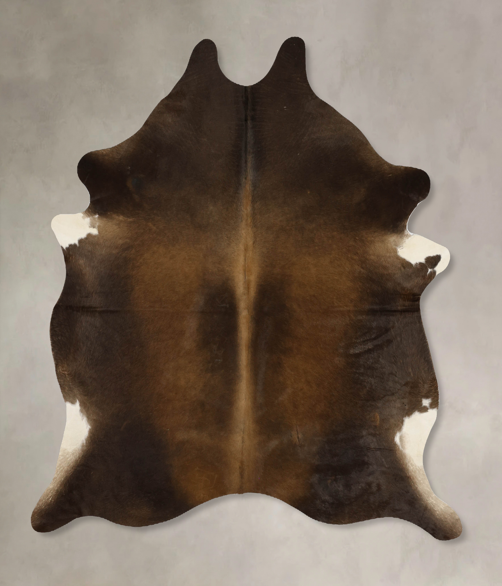 Chocolate and White Cowhide Rug #B11783