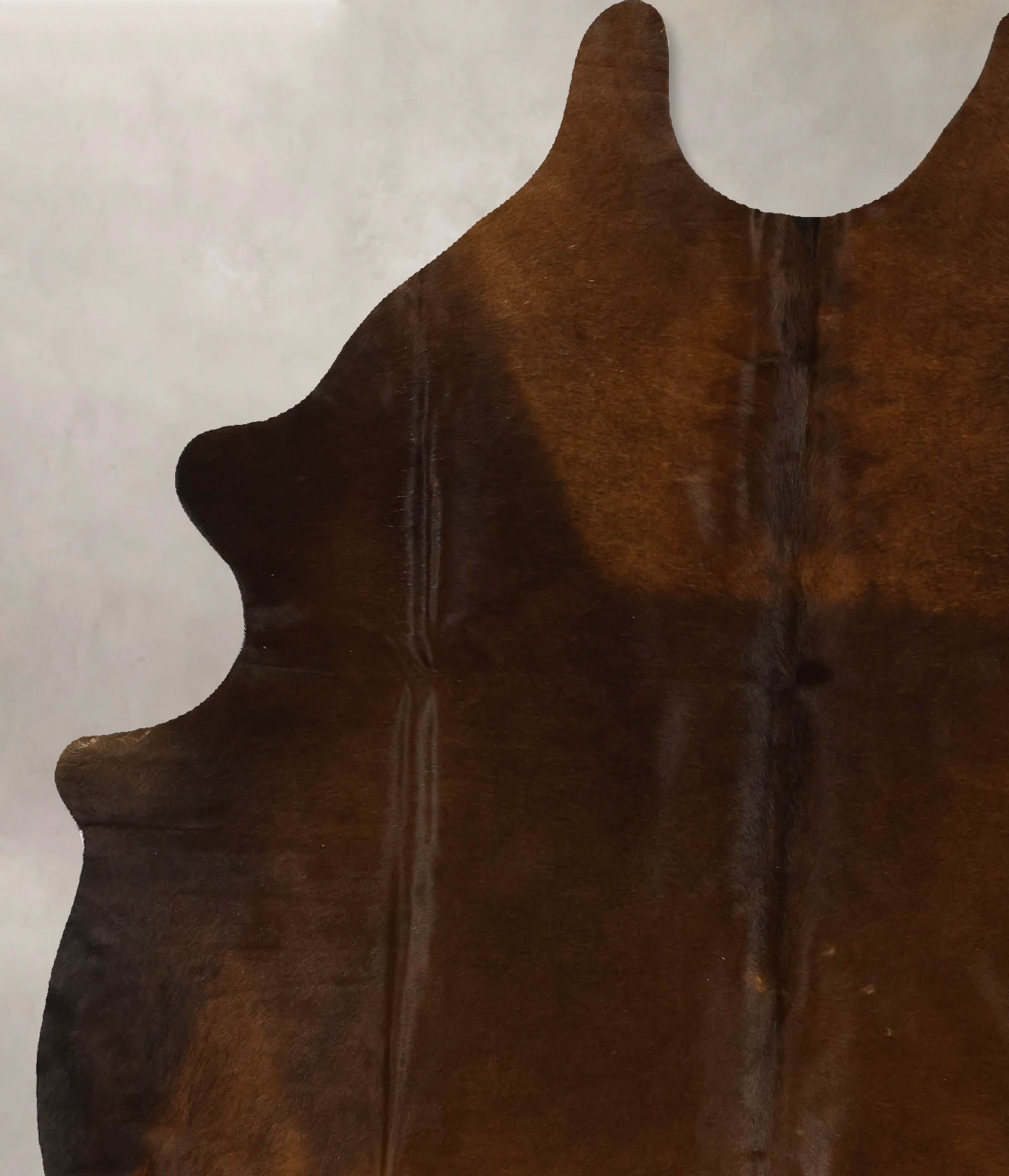 Warm Caramel Cowhide Rug #B11796