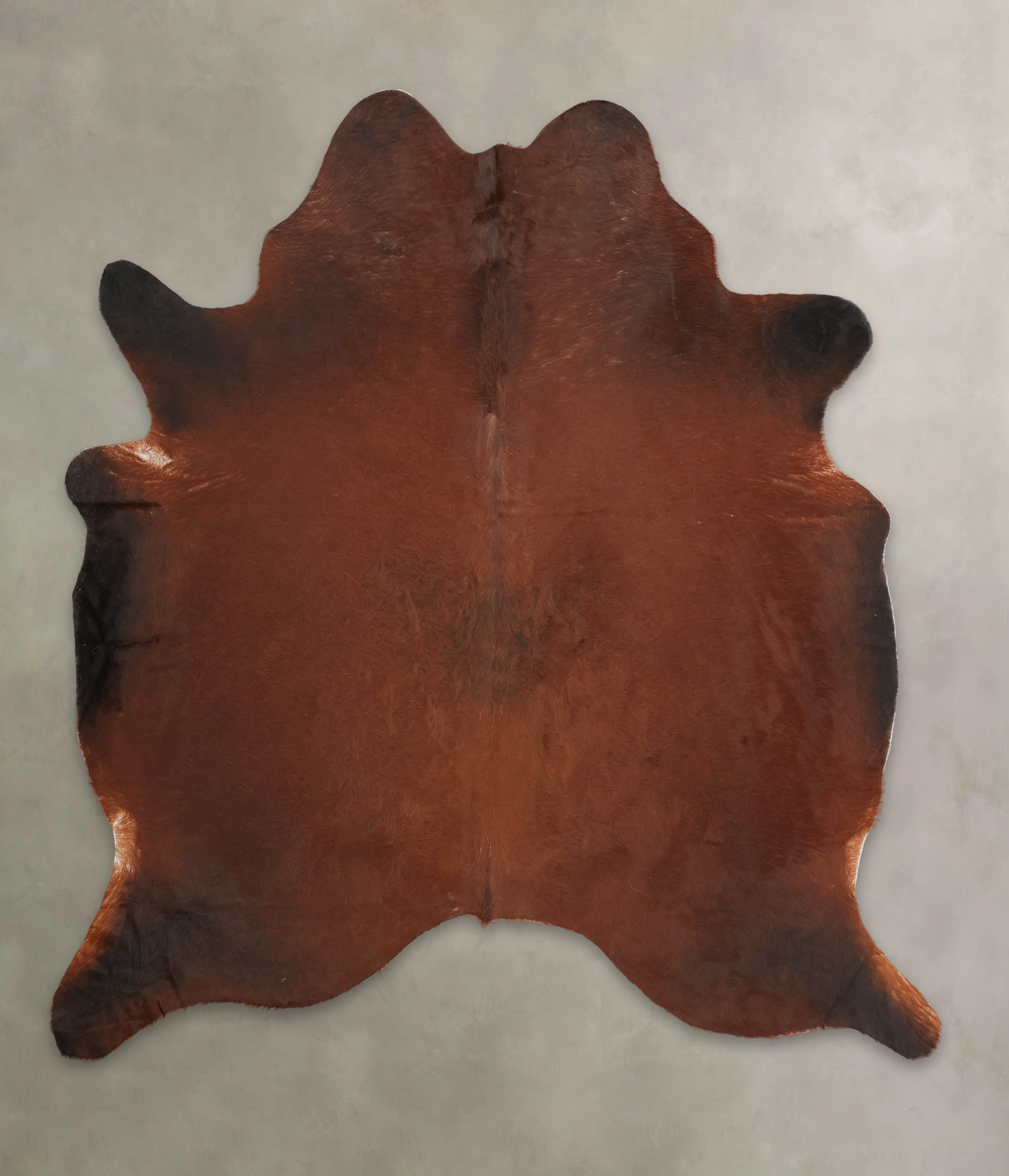 Brown with Red Cowhide Rug #B1181