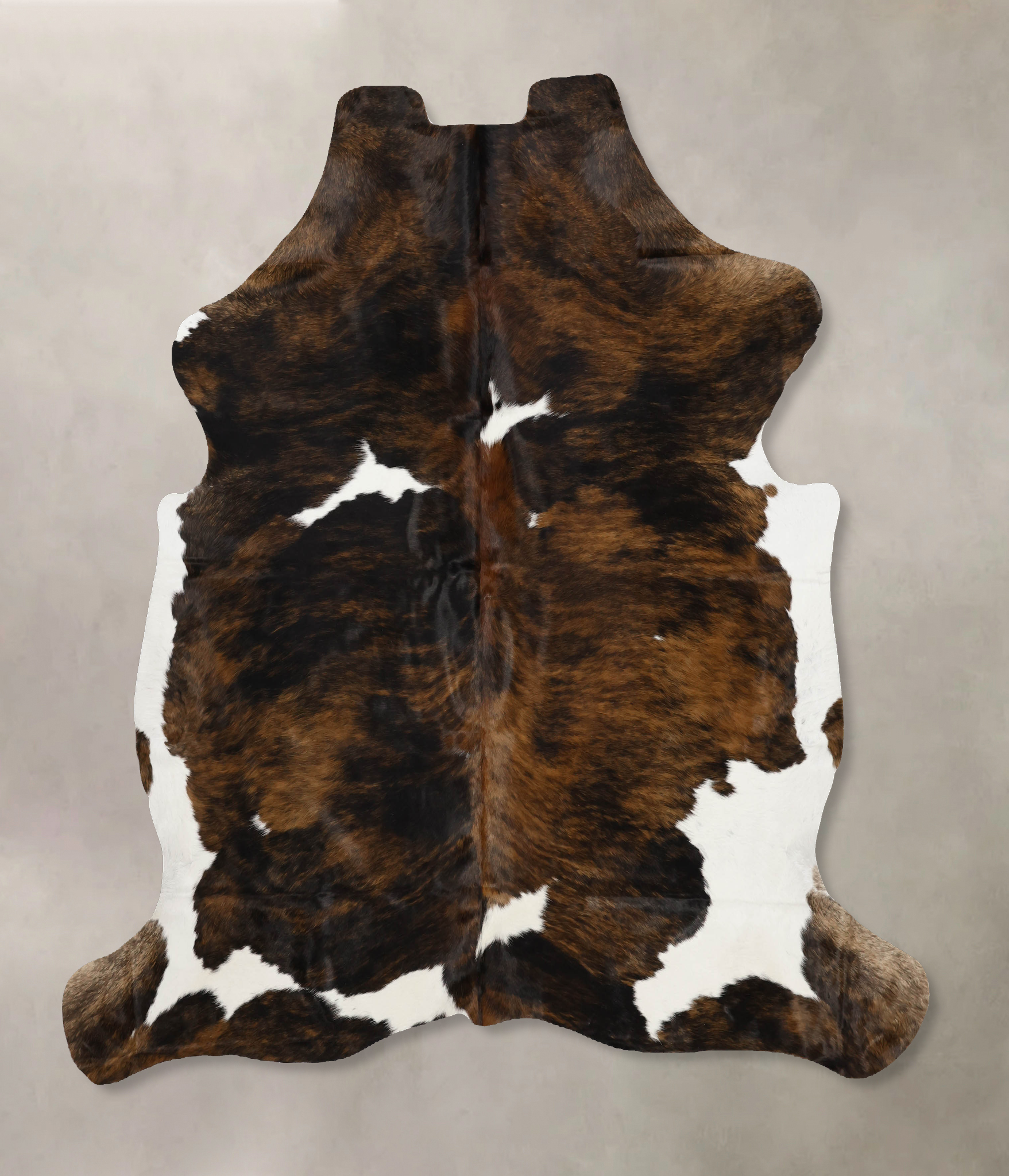 Tricolor Cowhide Rug #B11953