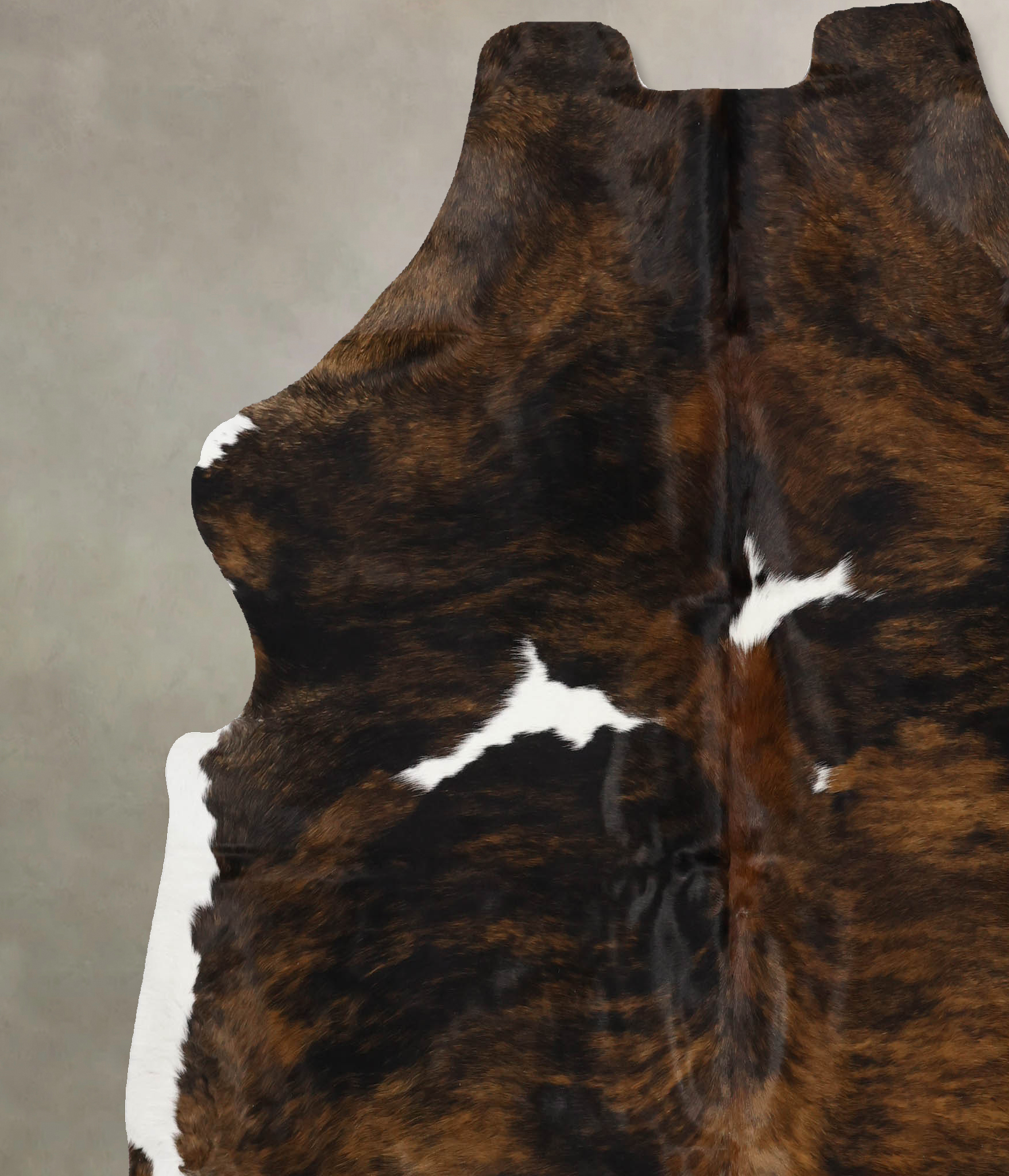 Tricolor Cowhide Rug #B11953