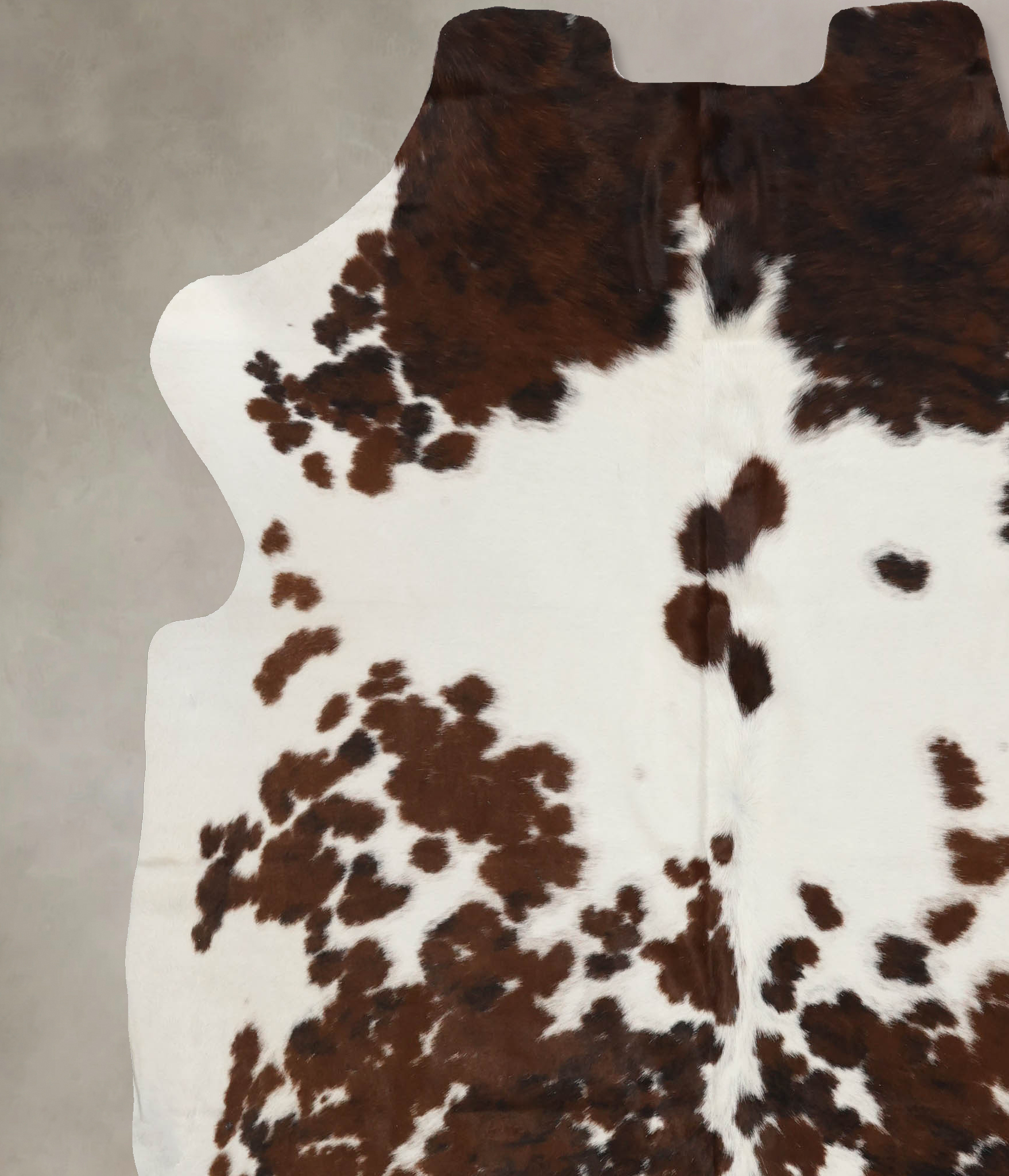 Tricolor Cowhide Rug #B12004