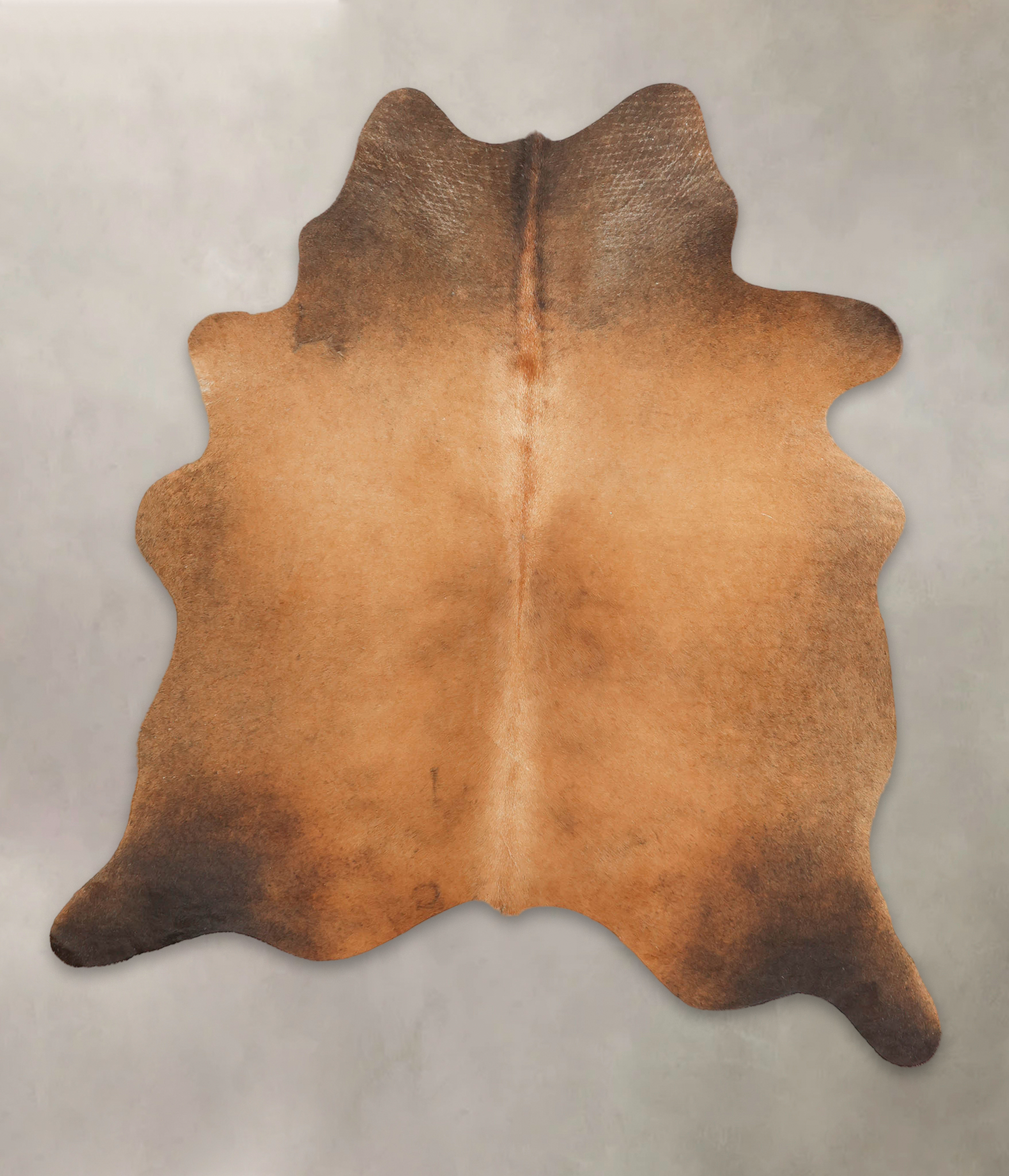 Brown with Red Cowhide Rug #B1228