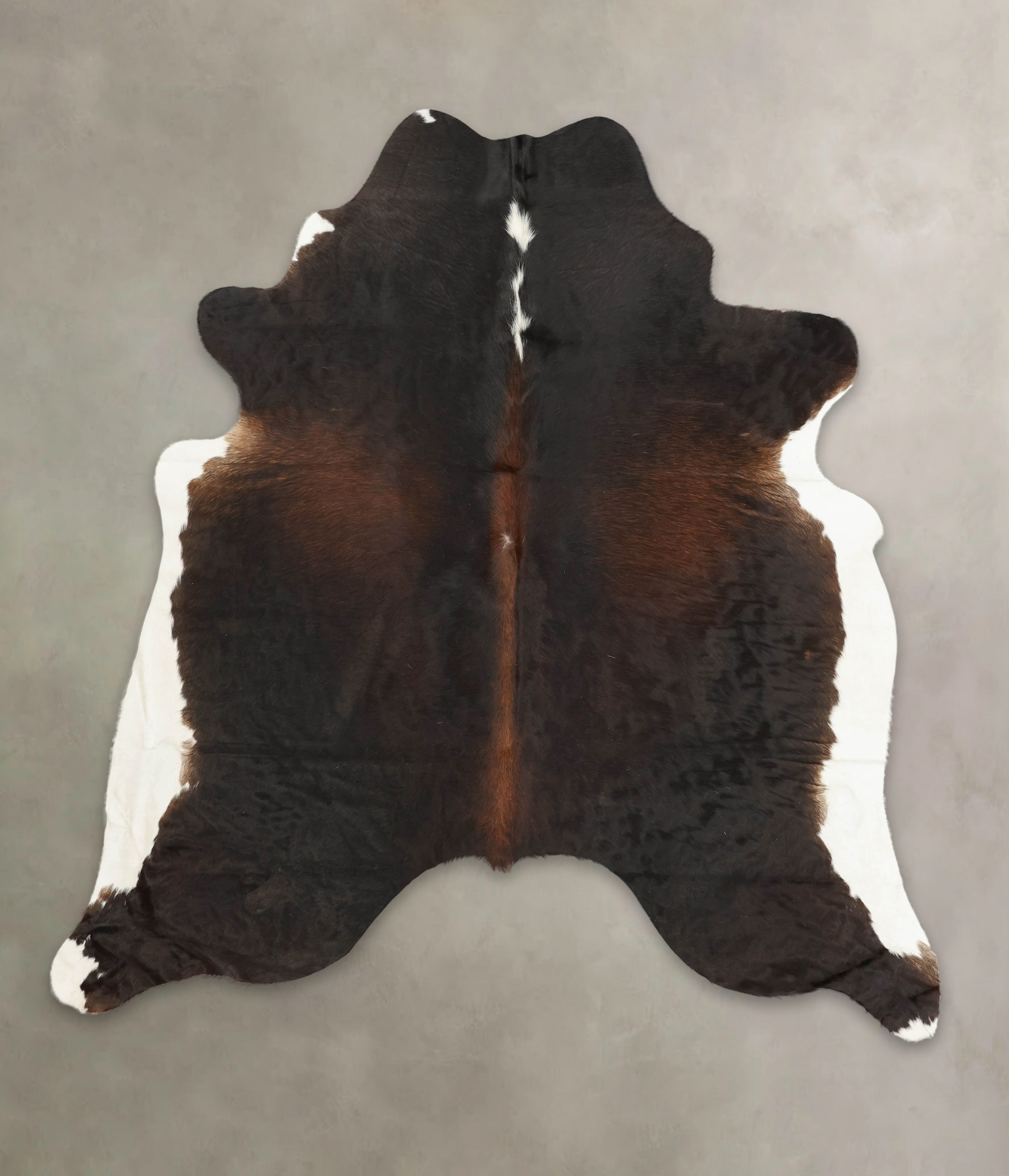 Chocolate and White Cowhide Rug #B1257