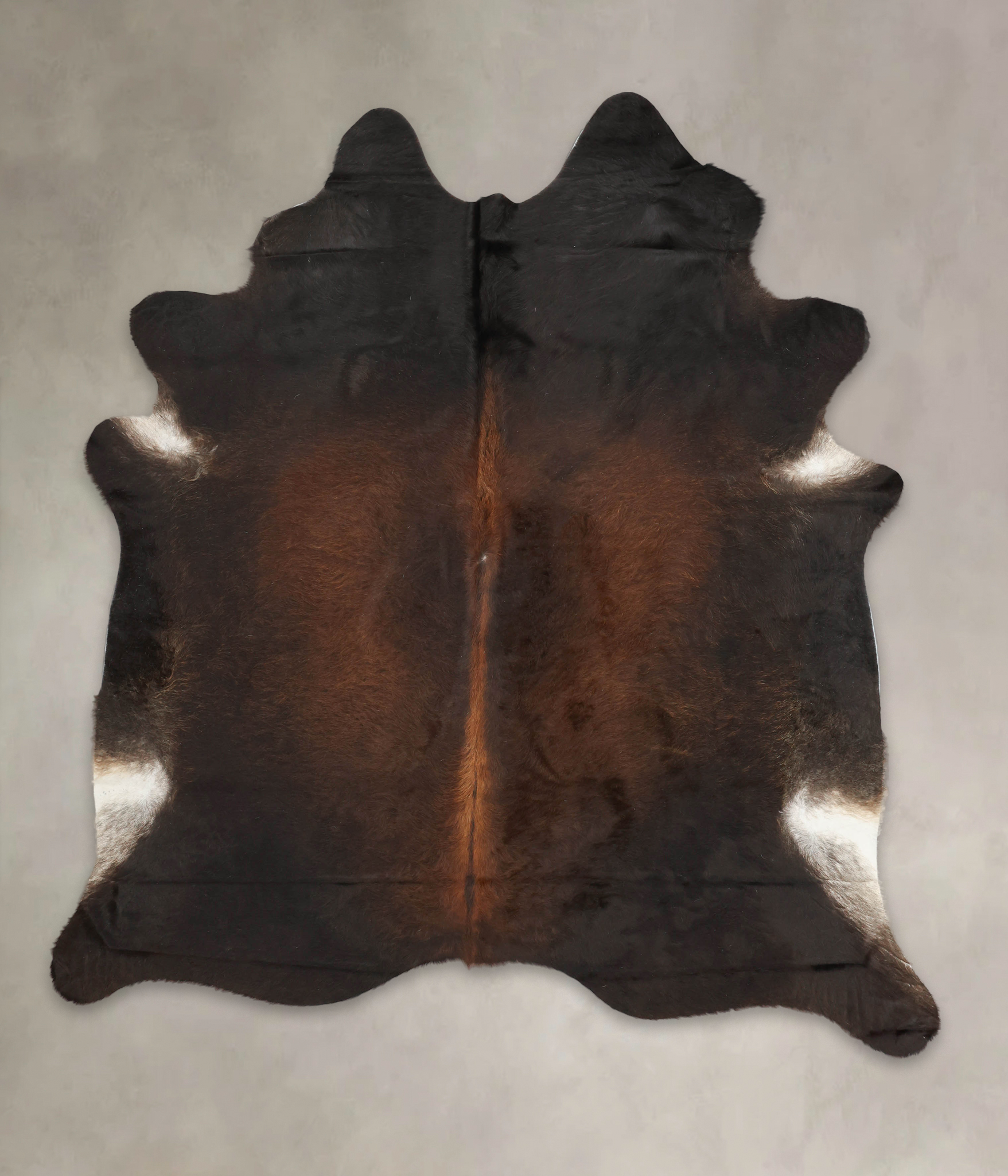 Brown with Red Cowhide Rug #B1295