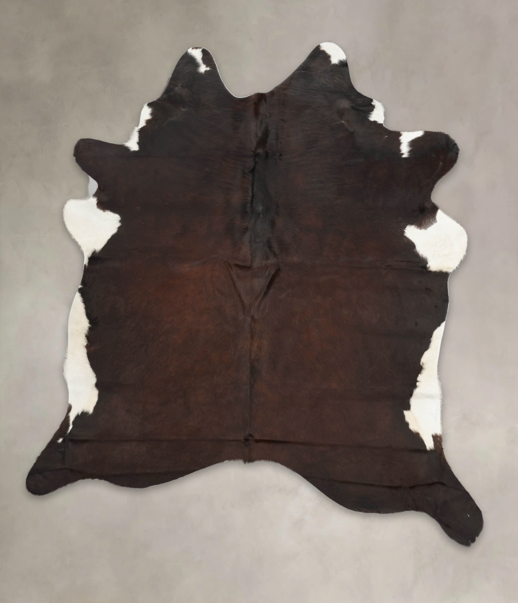 Chocolate and White Cowhide Rug #B1359