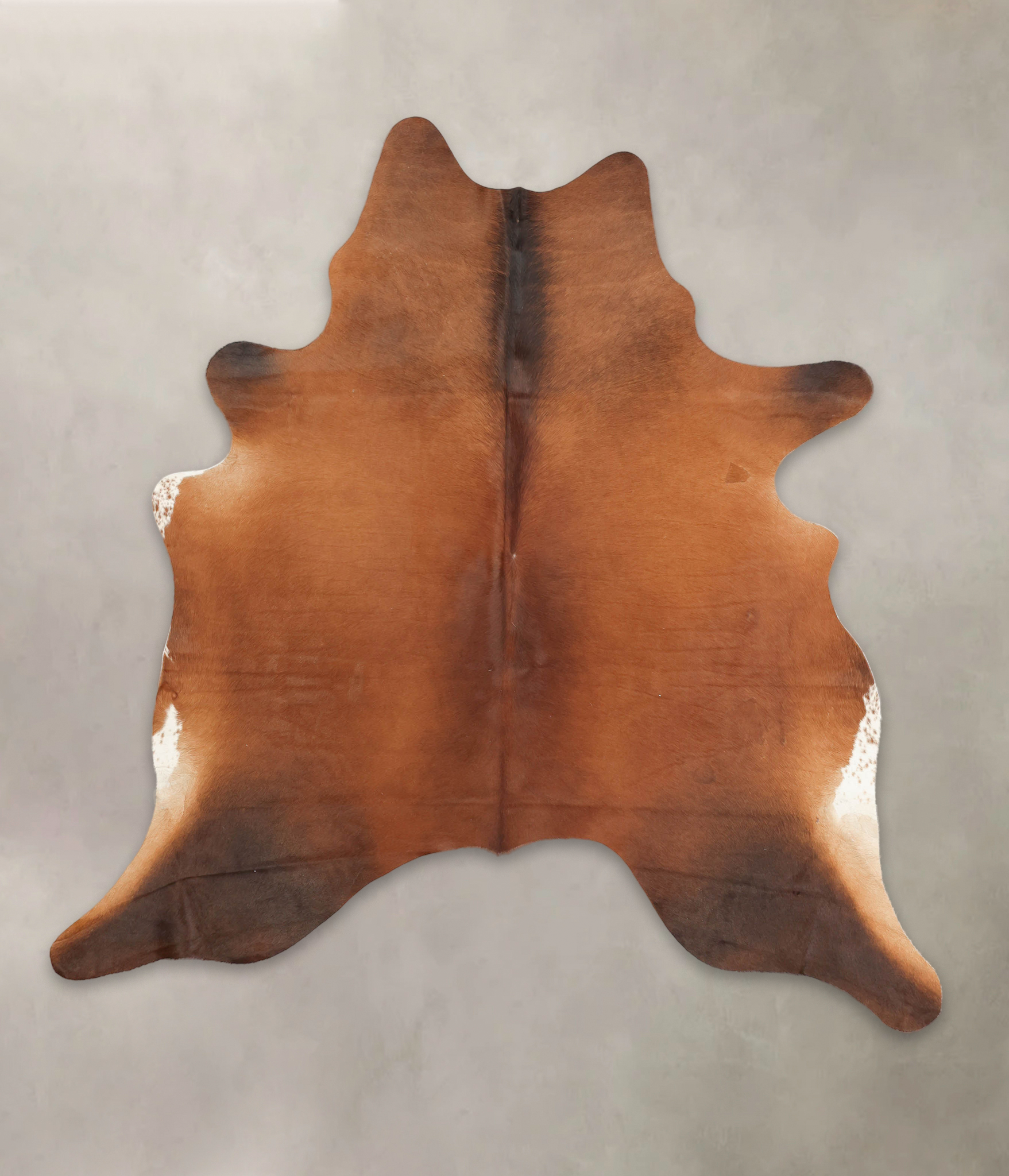 Brown with Red Cowhide Rug #B1458