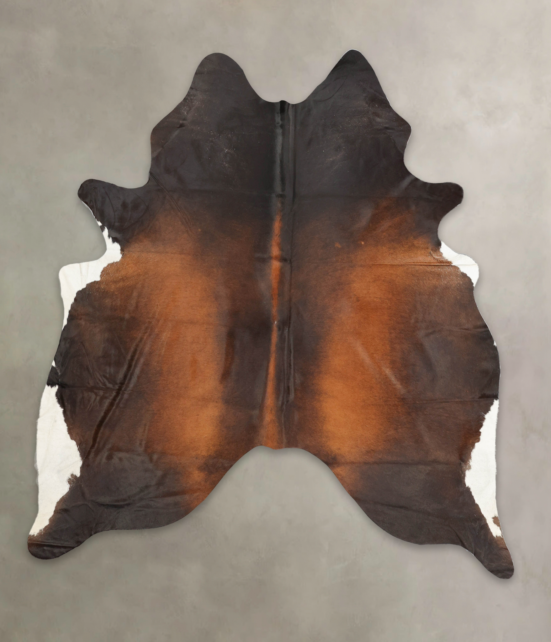 Brown with Red Cowhide Rug #B1609