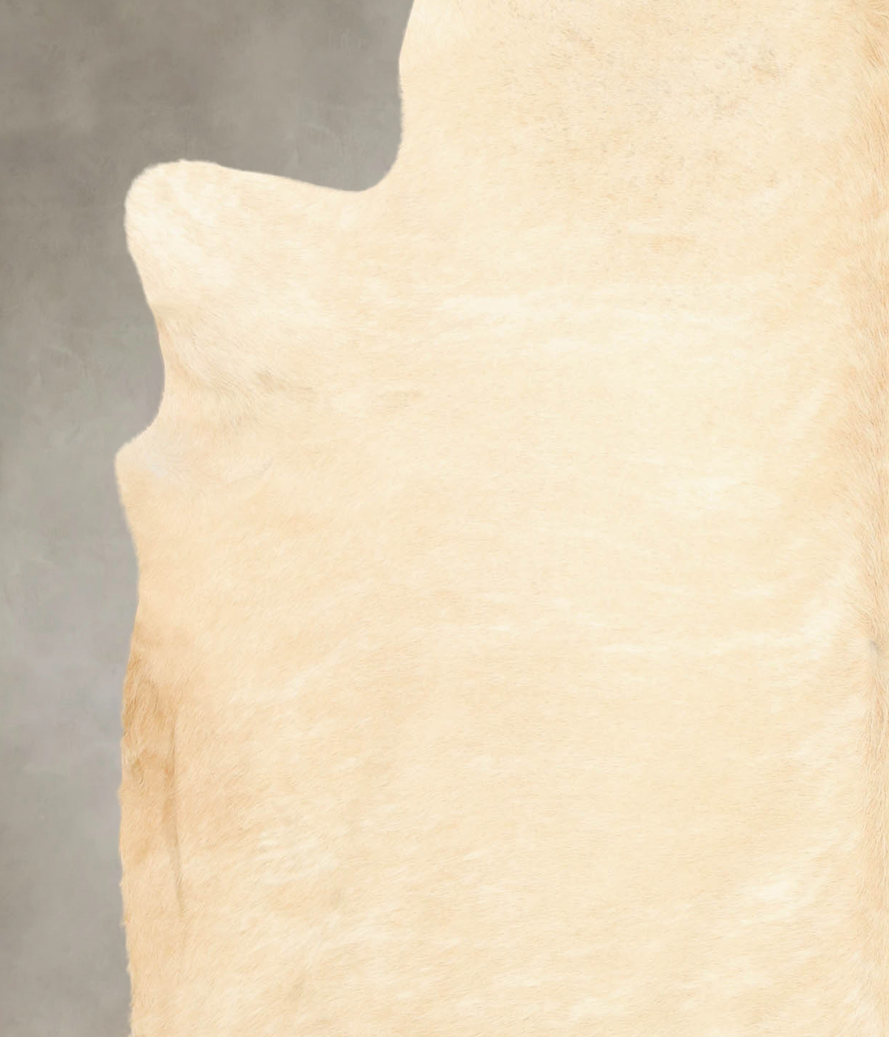 Palomino Cowhide Rug #B1637