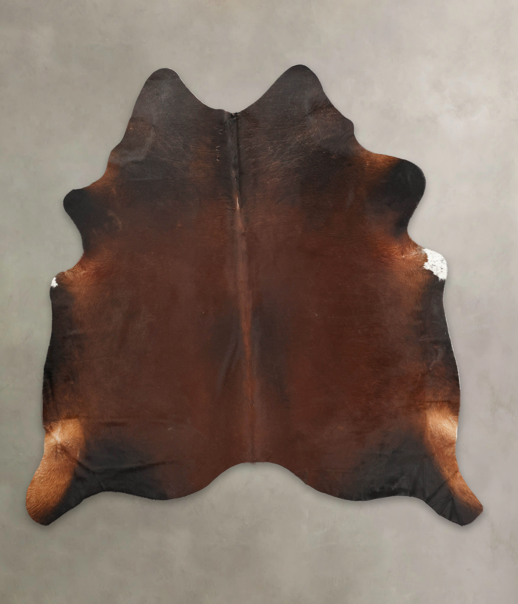 Brown with Red Cowhide Rug #B1680