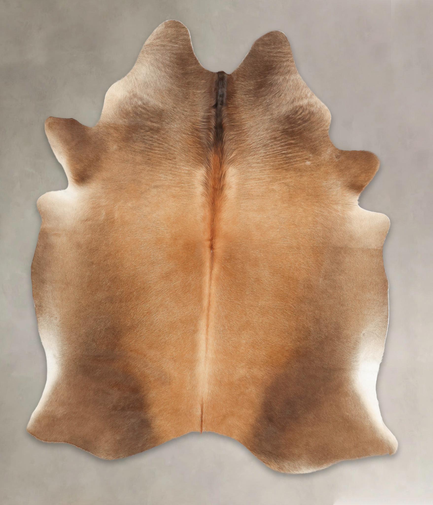 Caramel Cowhide Rug #B1681