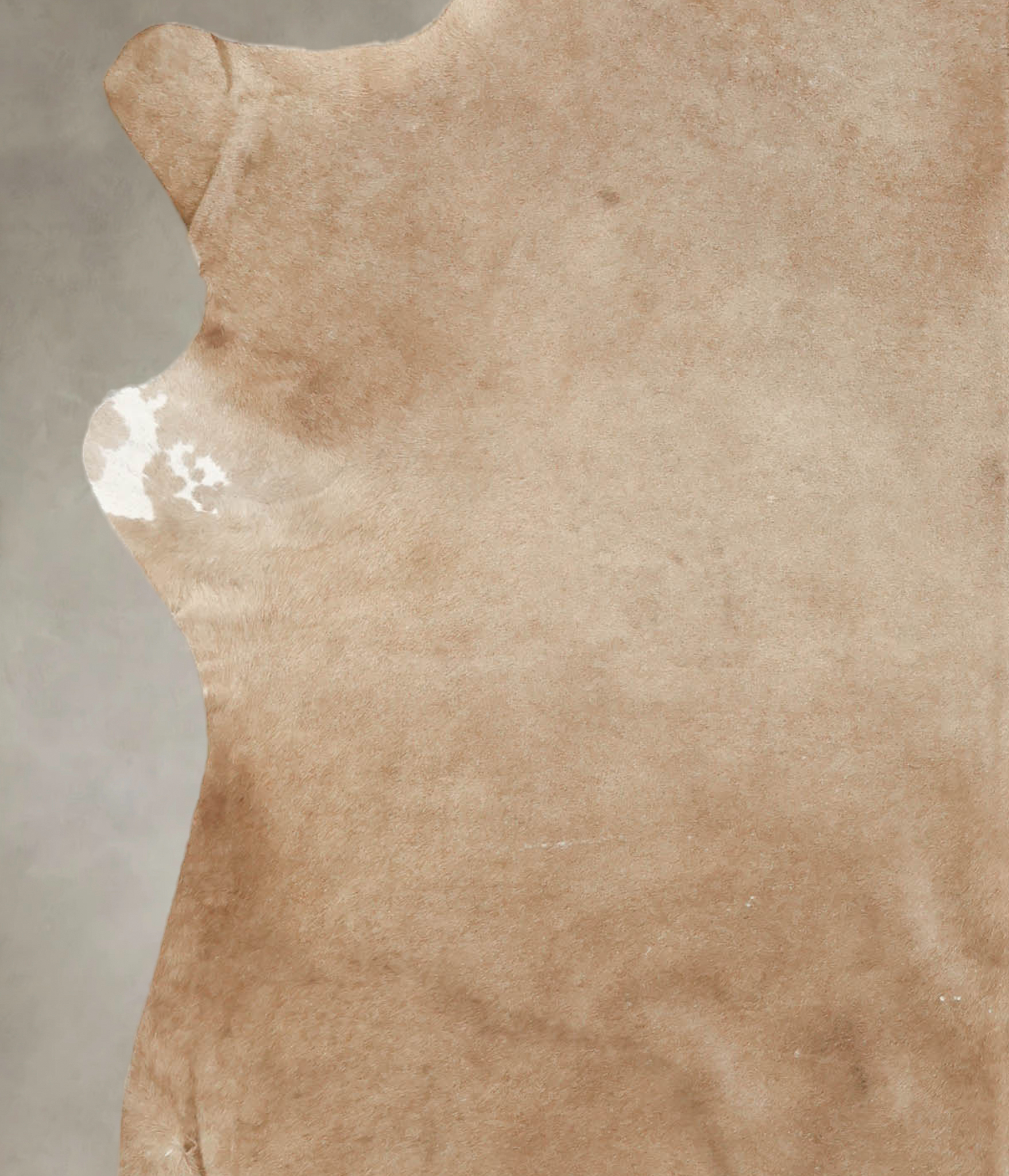 Champagne Cowhide Rug #B2013