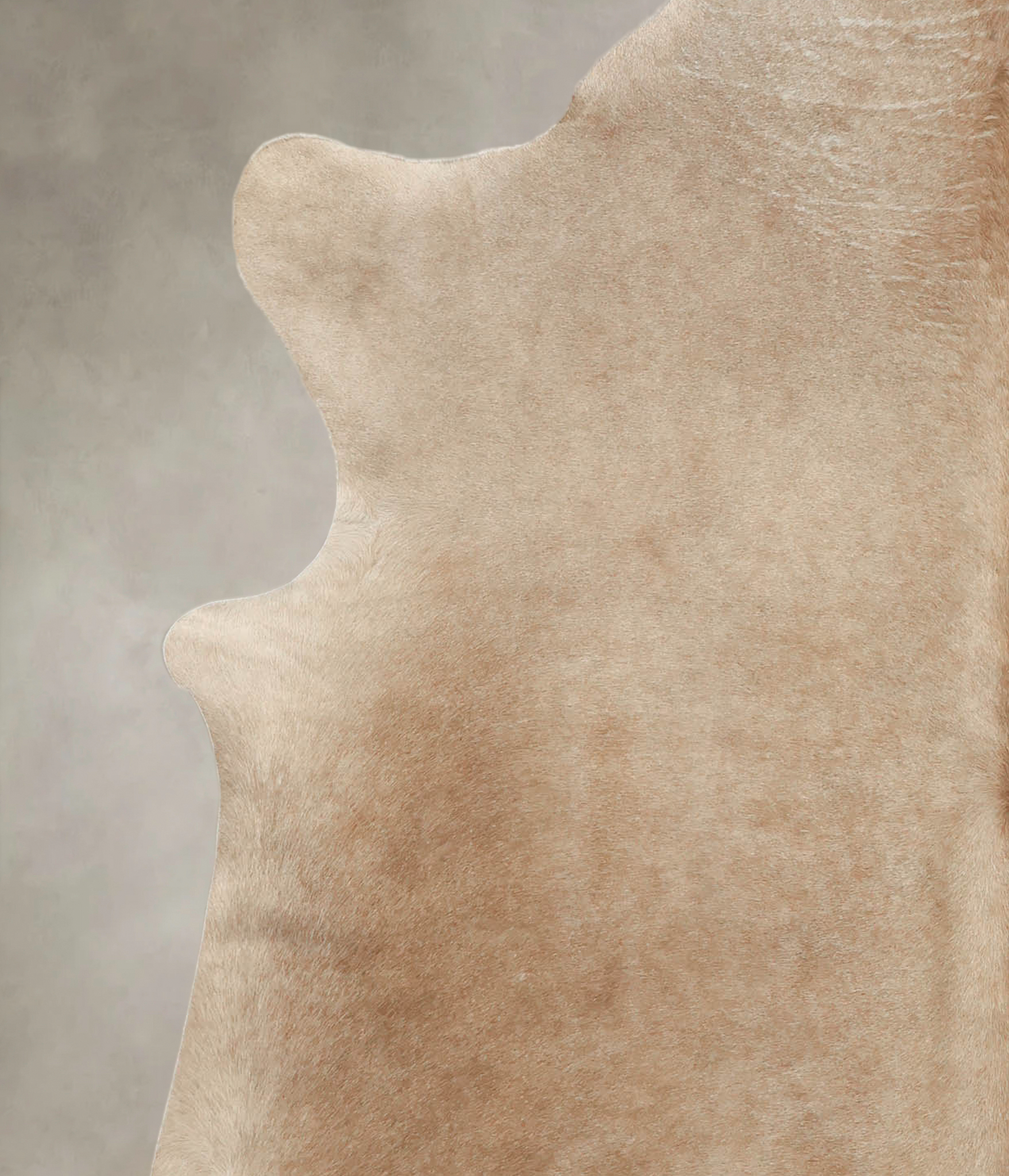 Taupe Cowhide Rug #B2069