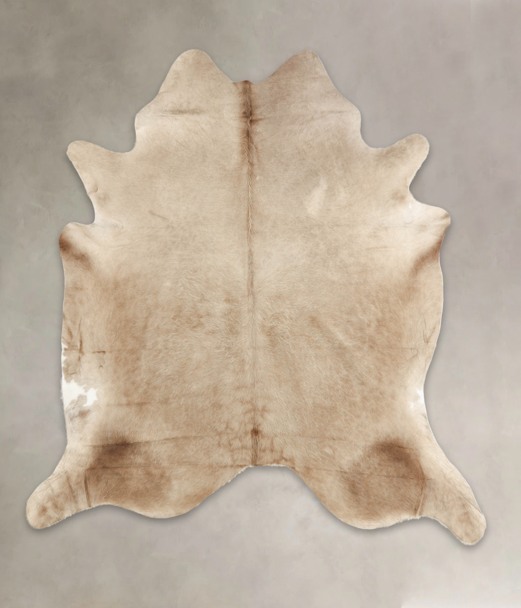 Champagne Cowhide Rug #B2339