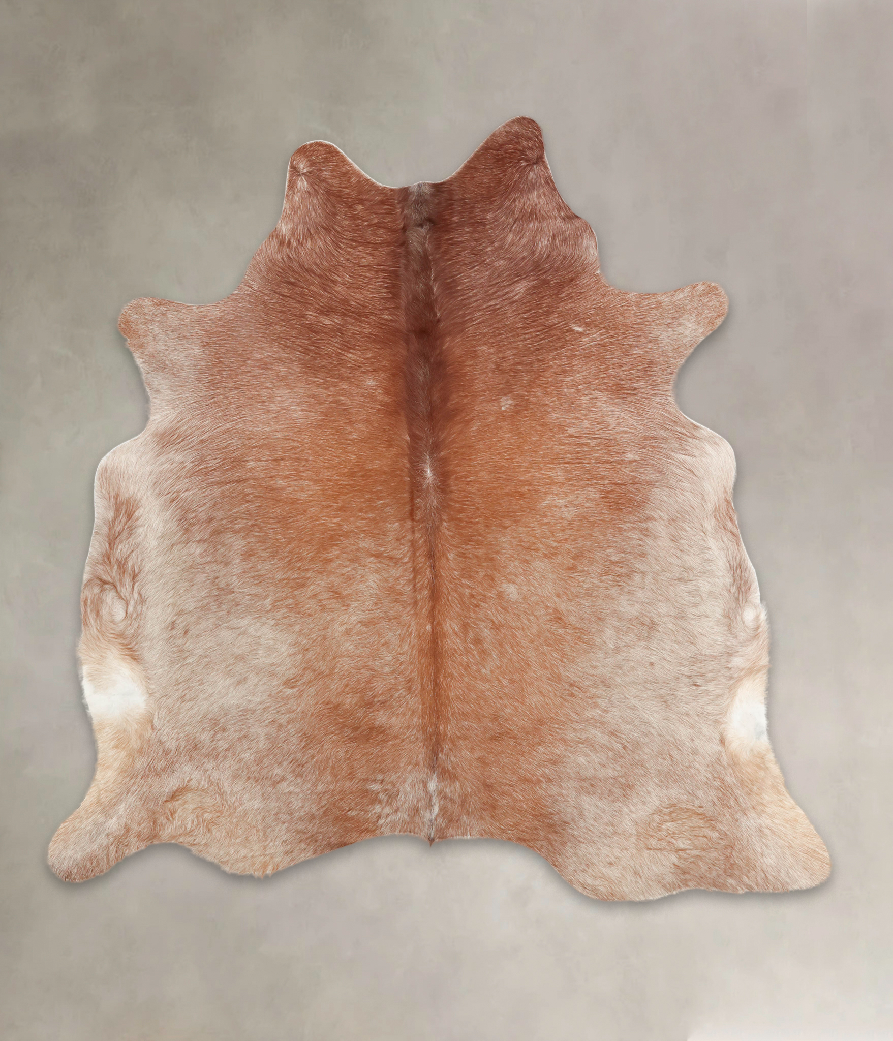 Caramel Cowhide Rug #B2648