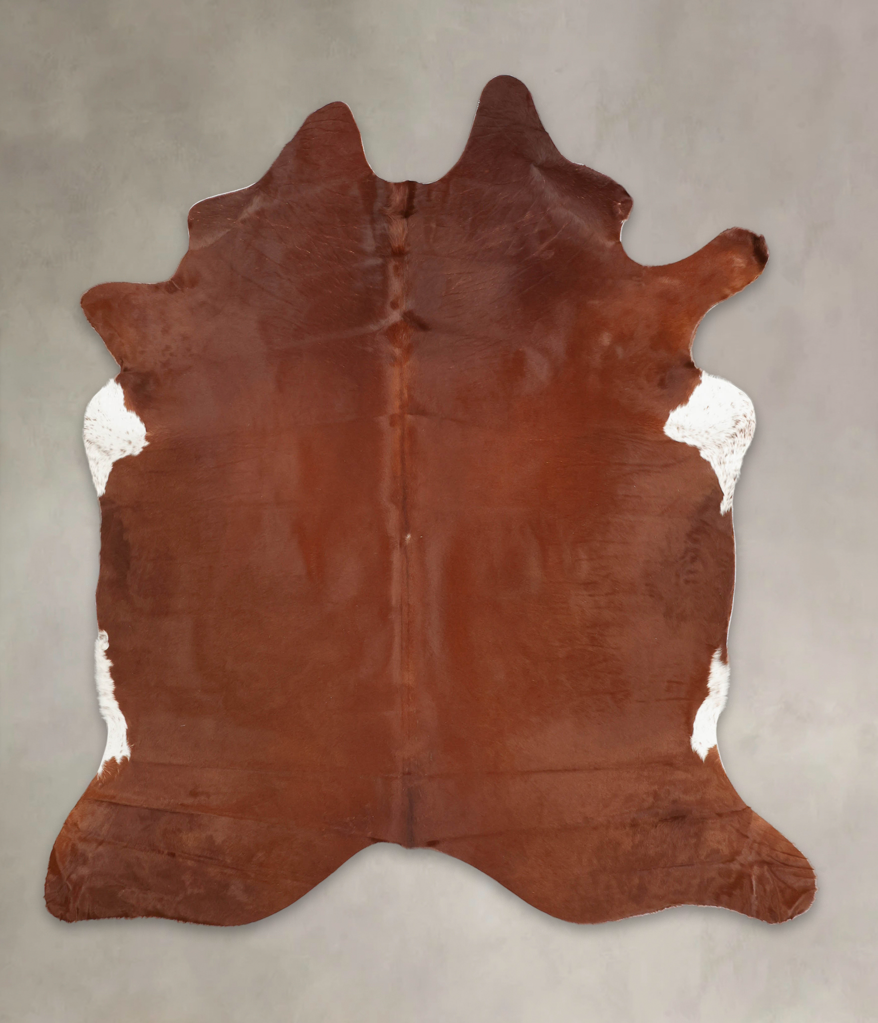 Solid Brown Cowhide Rug #B2680