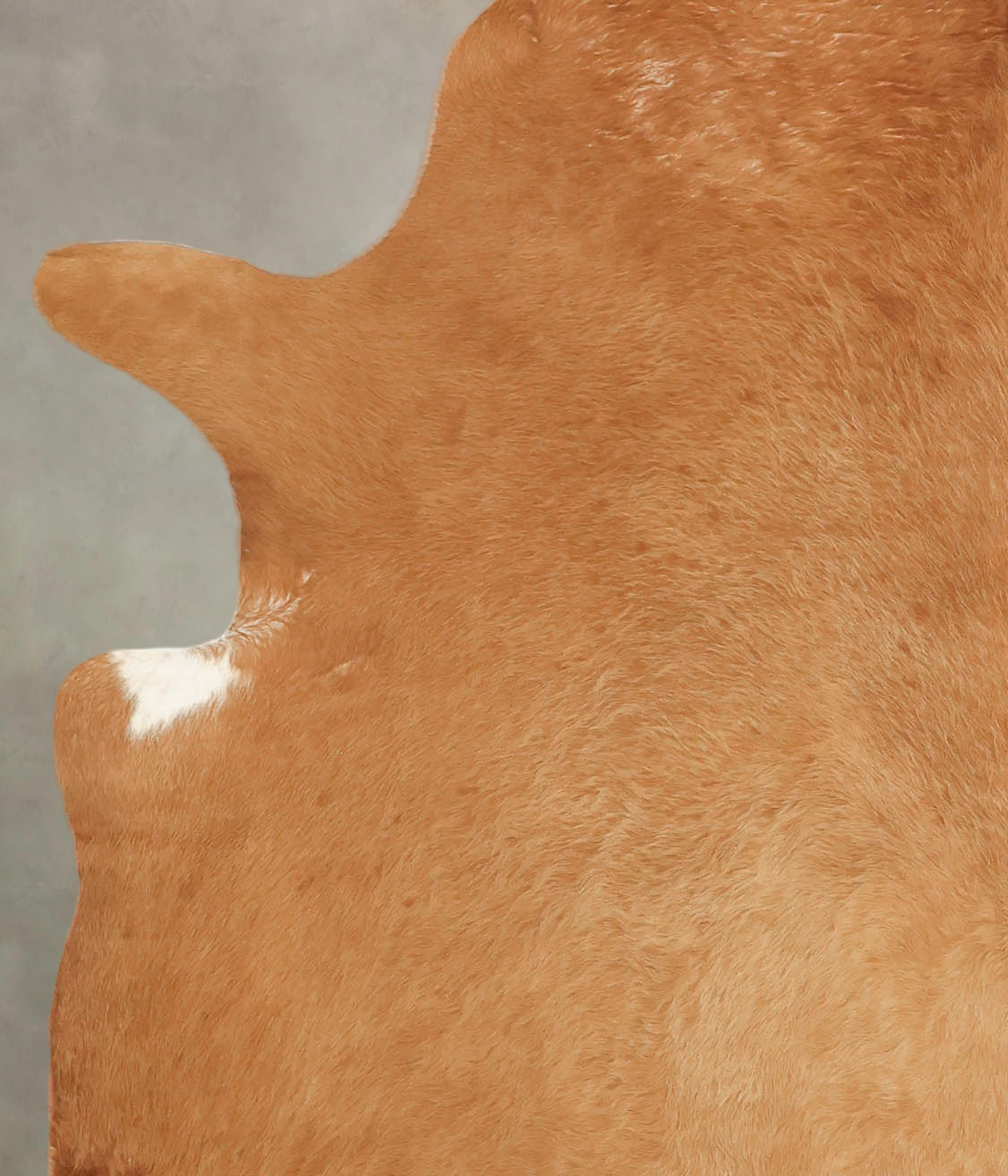 Solid Brown Cowhide Rug #B3170